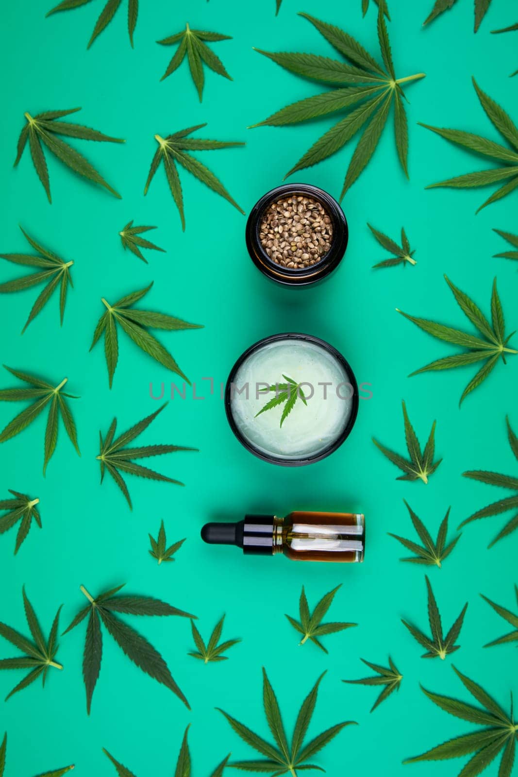 Cbd cannabis hemp buds, marijuana and cannabis leaves, medical cannabis concept