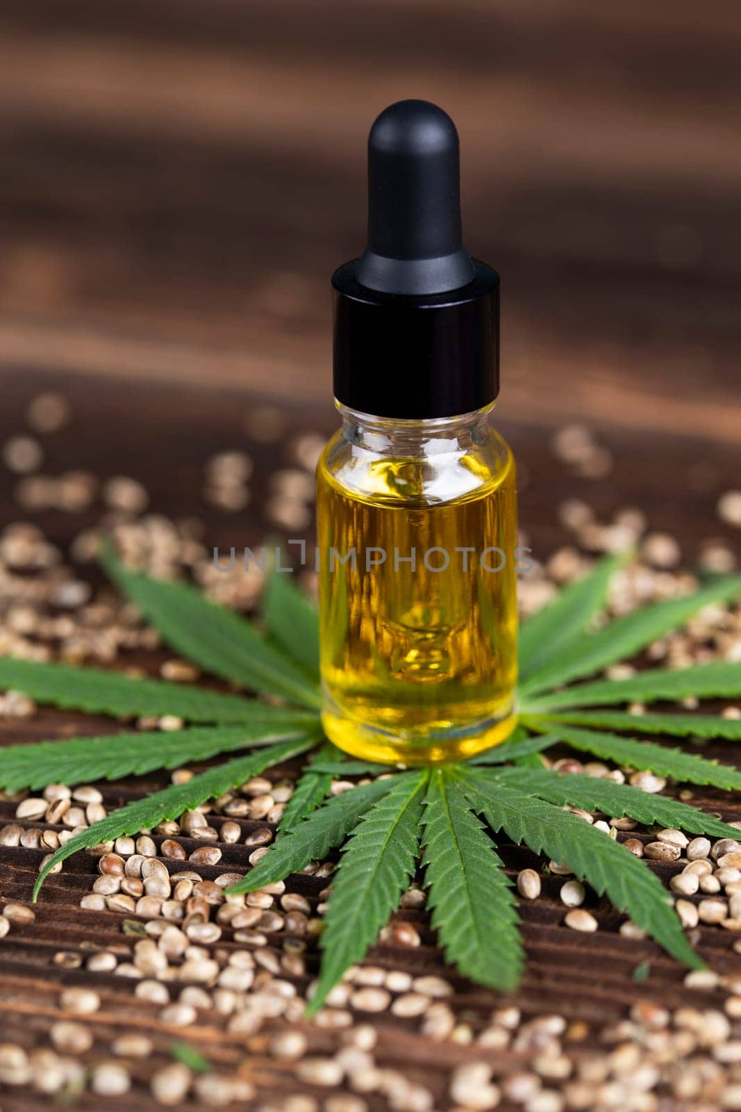 Oil cbd, cannabis and hemp leaves, medical marijuana concept