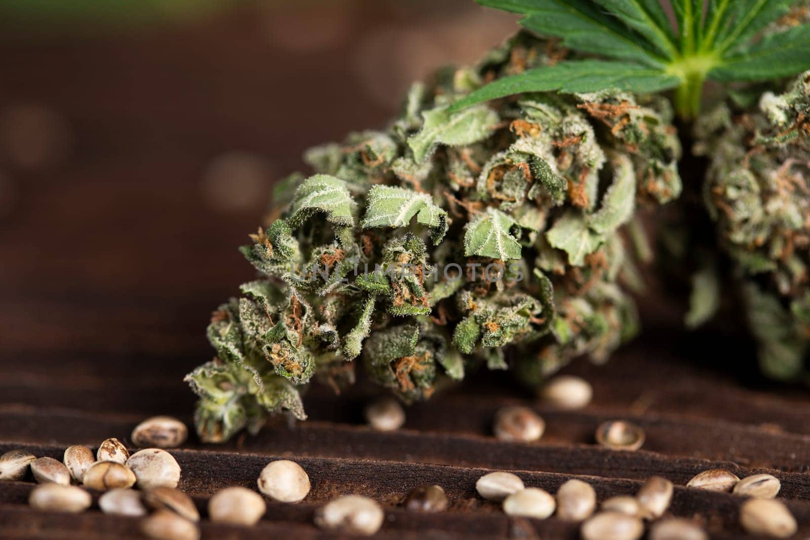Weed, Top view of marijuana, Cannabis leaves
