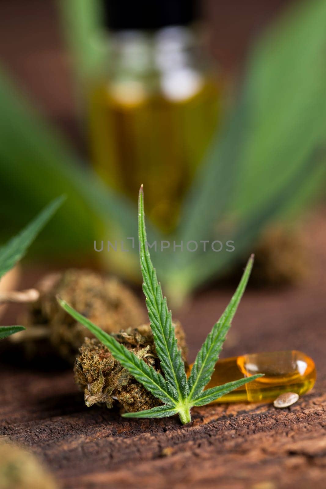 Hemp oil and marijuana leaves on extract cbd
