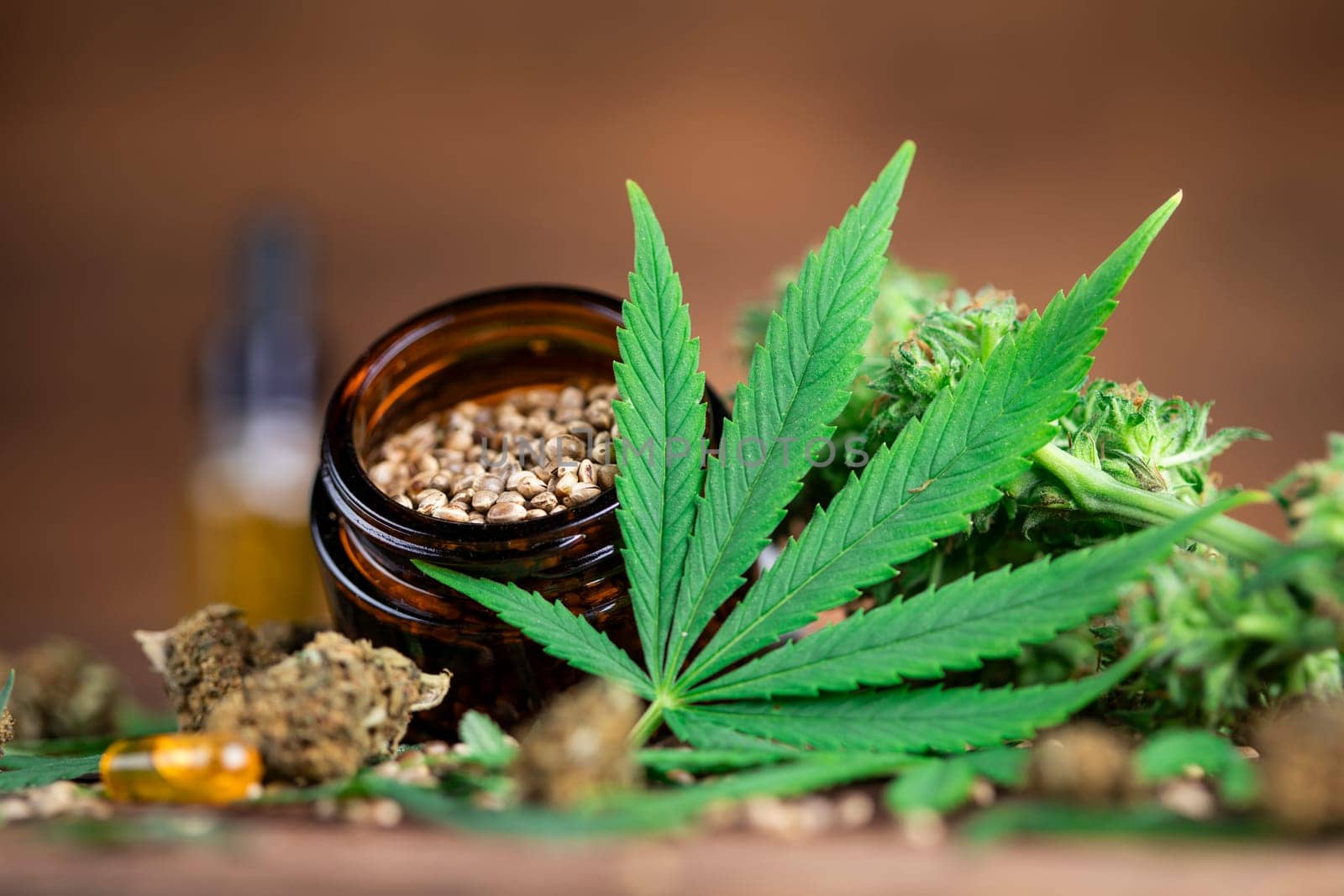 Marijuana plant with medical cannabis, cbd