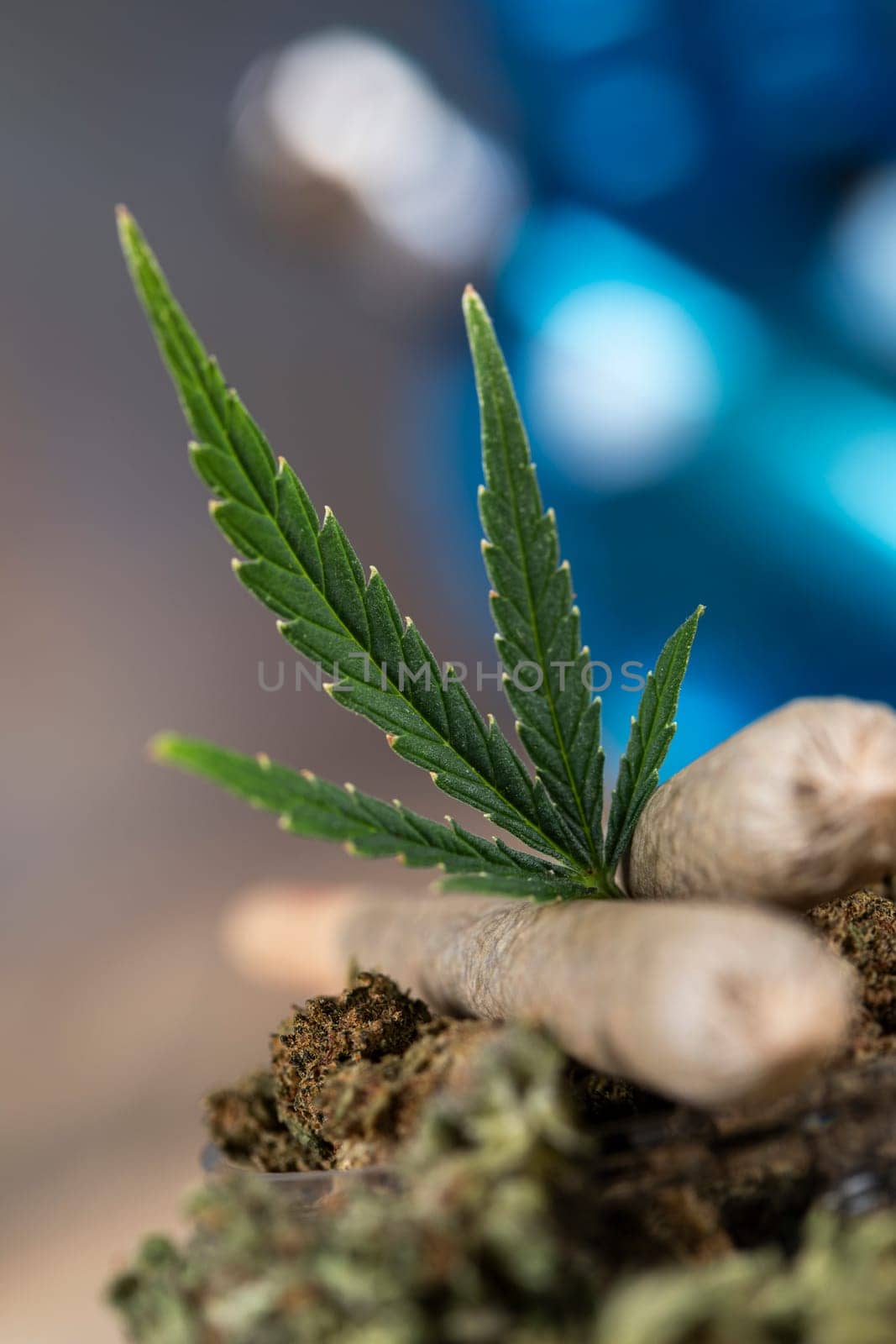 Blunt, Marijuana buds with cannabis leaves, cbd