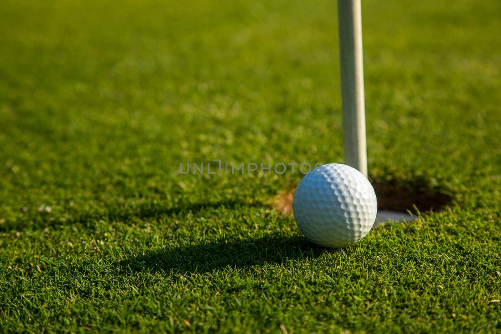 Sport and lifestyle, Golf ball on green grass on course