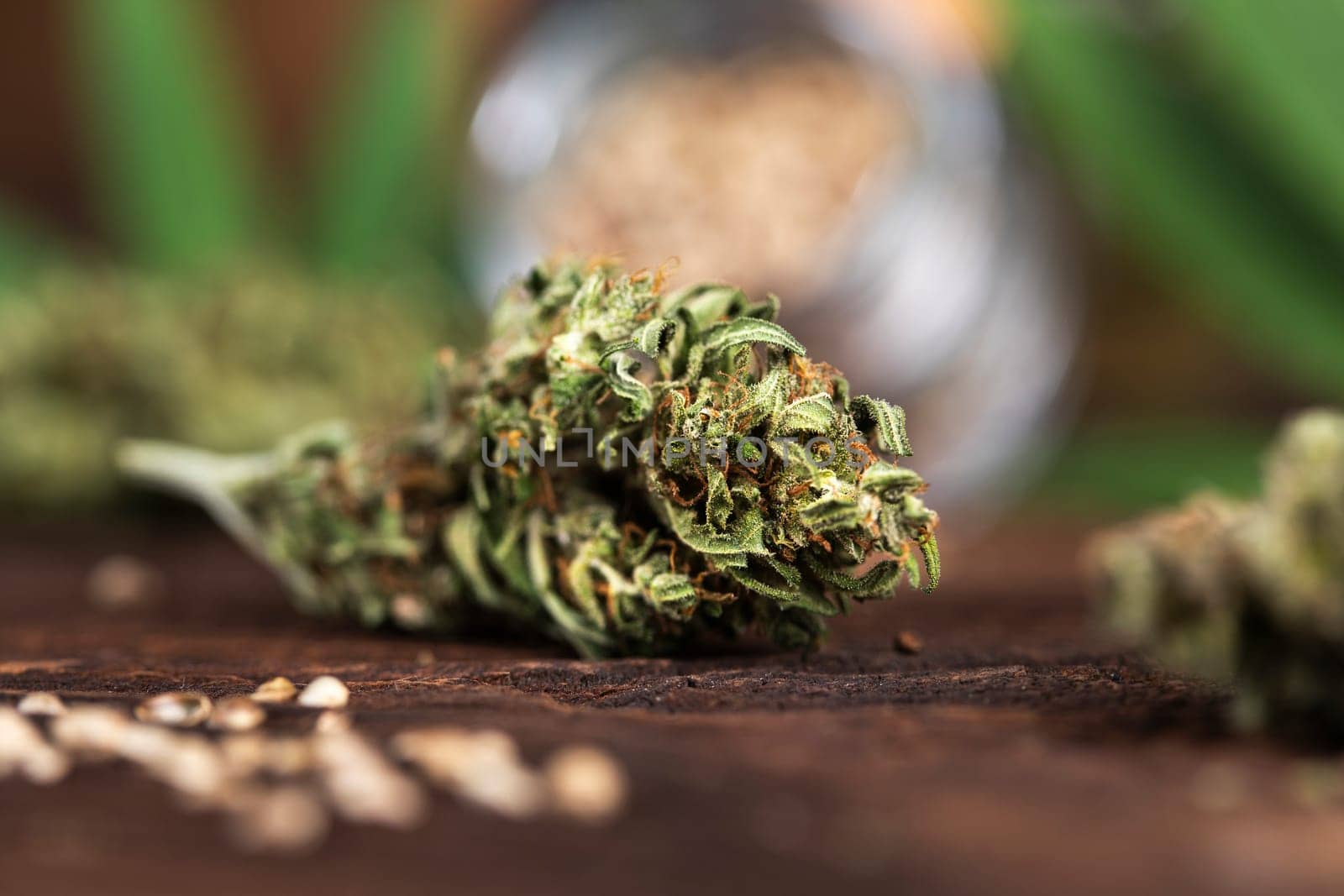 Cbd weed, Cannabis leaves and Top view of marijuana