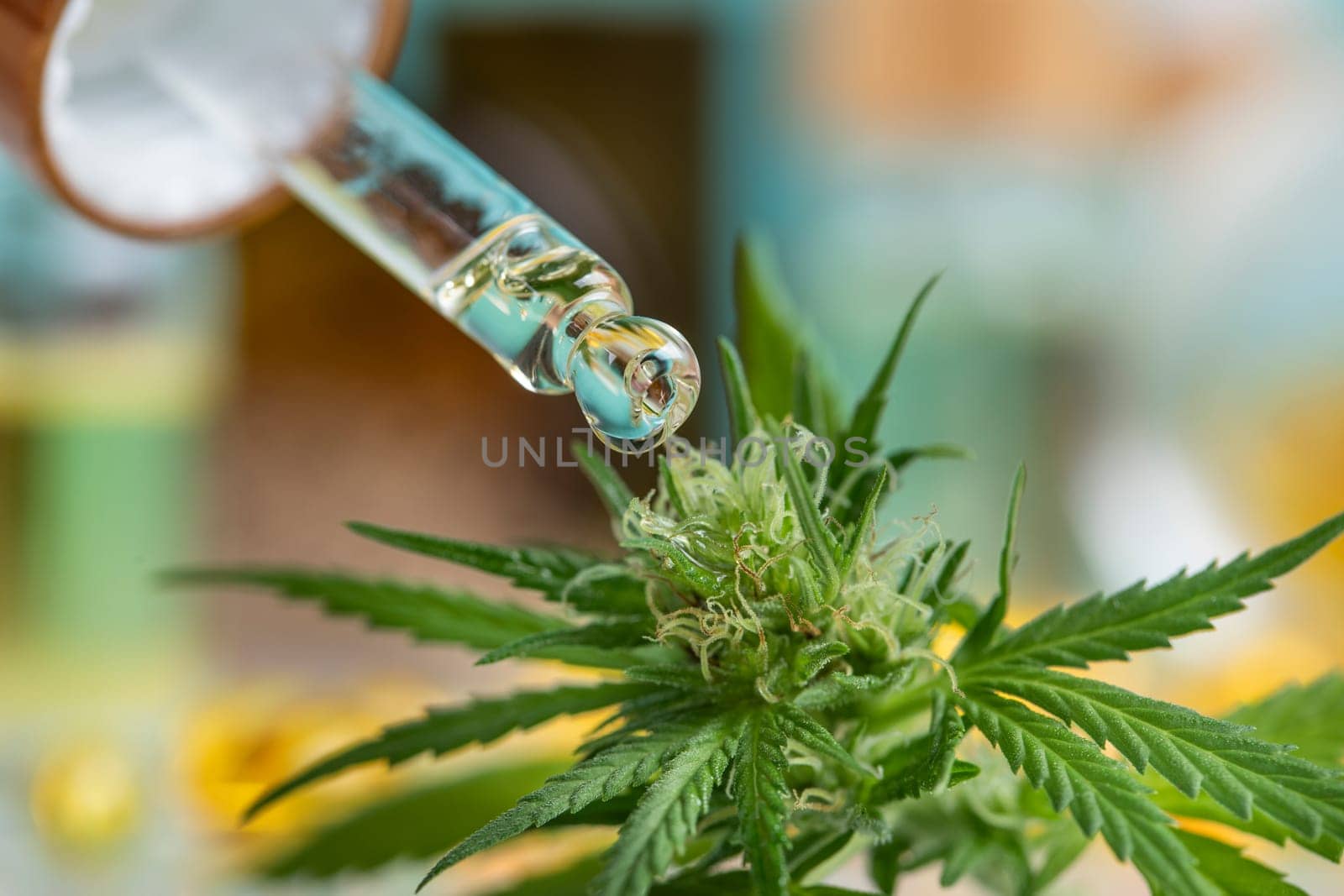 Set of essential oil cbd in a glass bottle, with a pipette, marijuana concept