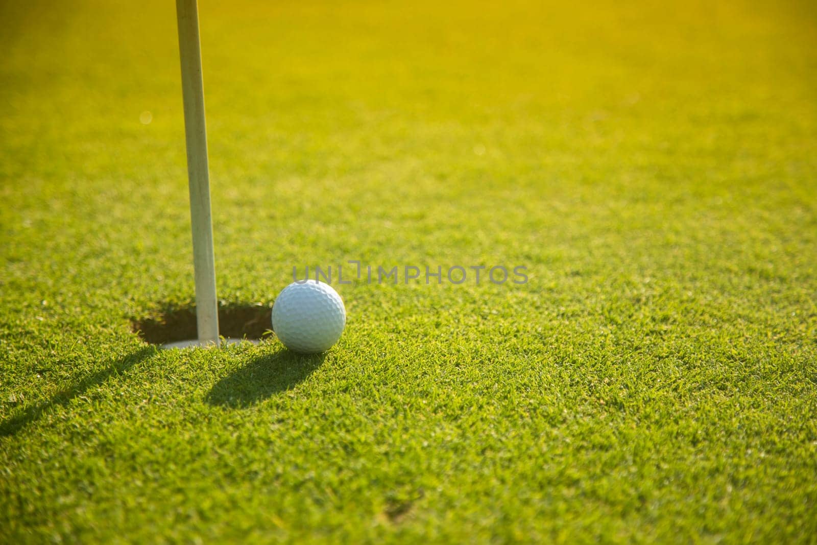 Sport and lifestyle, Golf ball on green grass on course