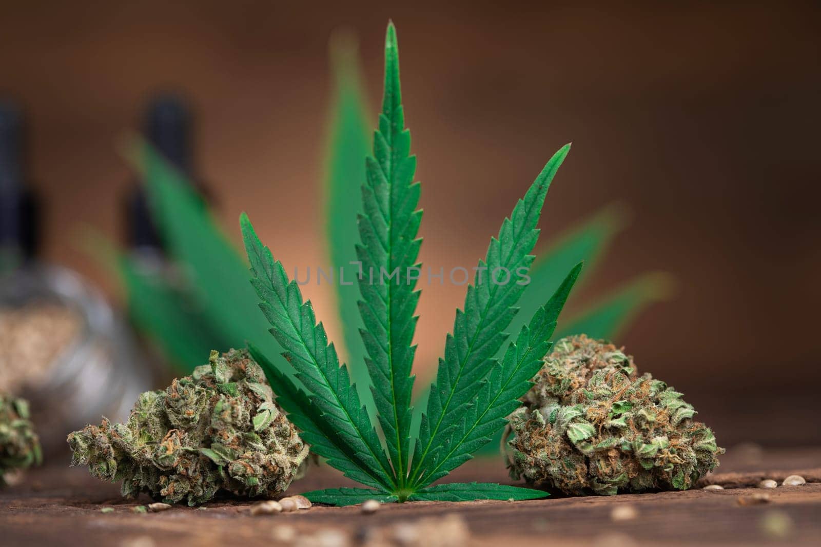 Cbd weed, Cannabis leaves and Top view of marijuana