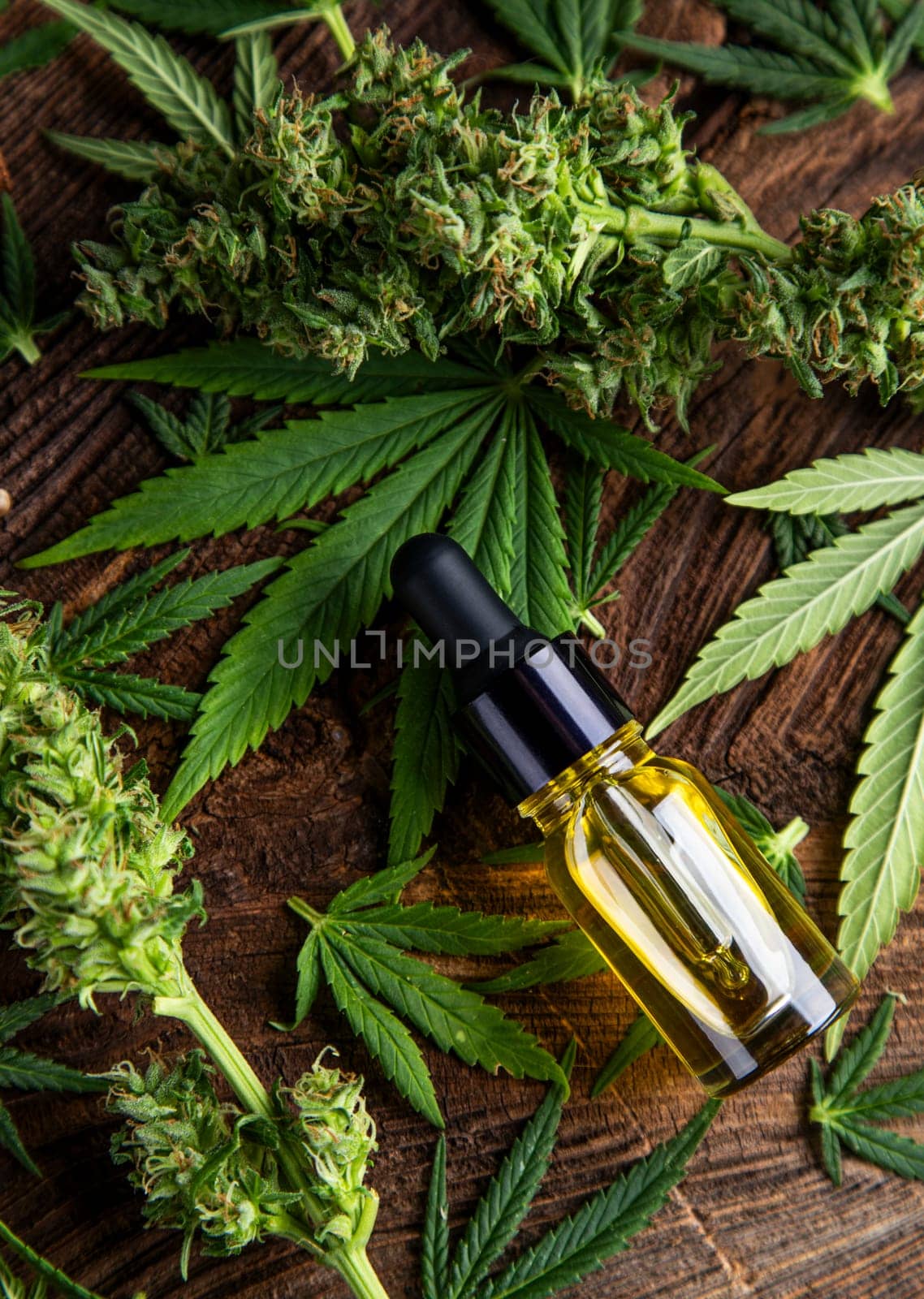 Cbd oil and marijuana plant, hemp seeds, medical marijuana concept