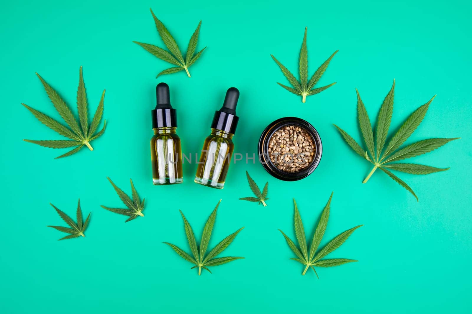 Cbd cannabis hemp buds, marijuana and cannabis leaves, medical cannabis concept