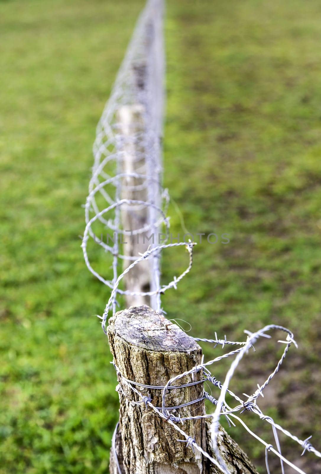 Detail of protection and security against theft, crime