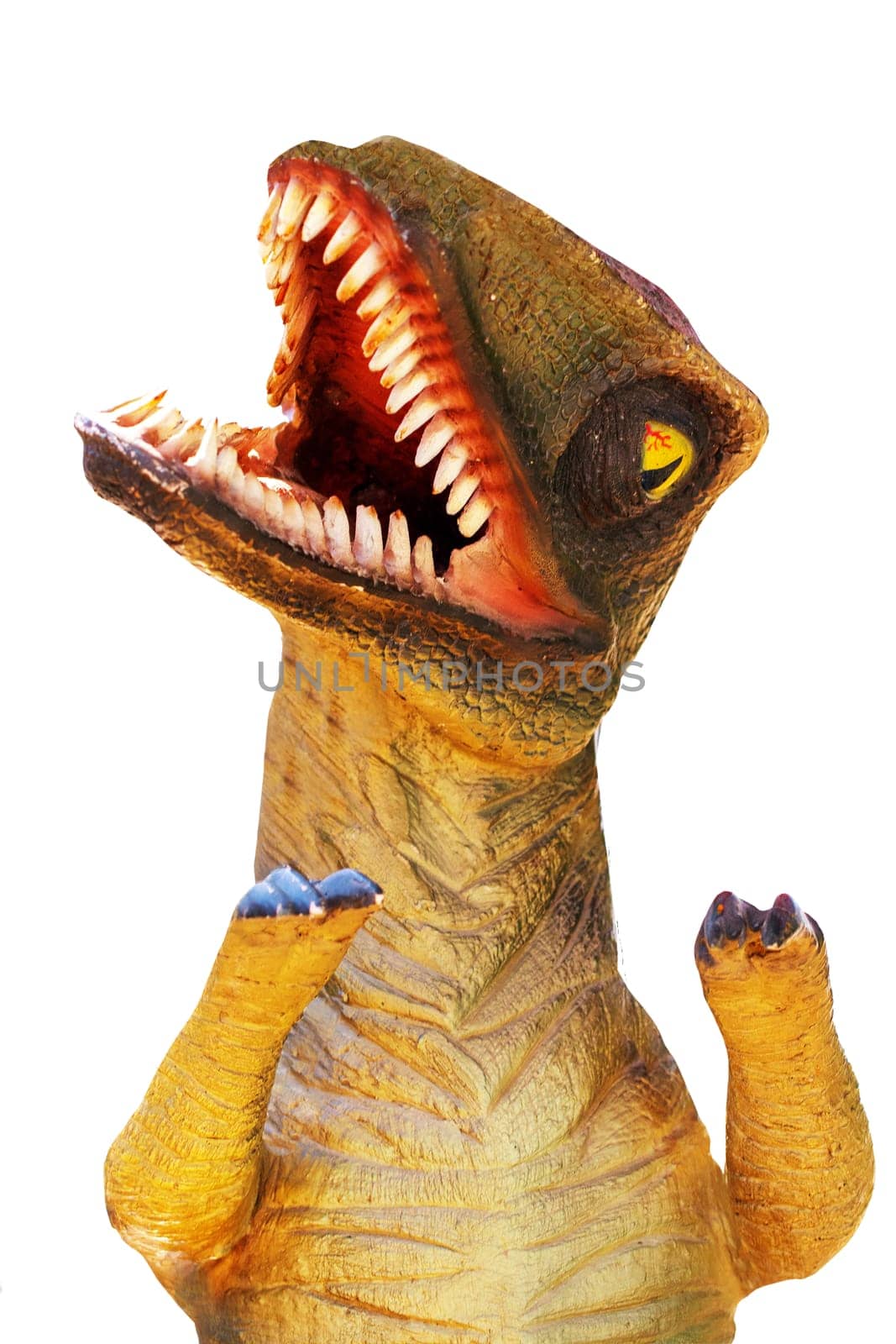 Prehistoric era dinosaur open mouth in attack position isolated on a white background. Clipping path. Tyrannosaurus Rex.