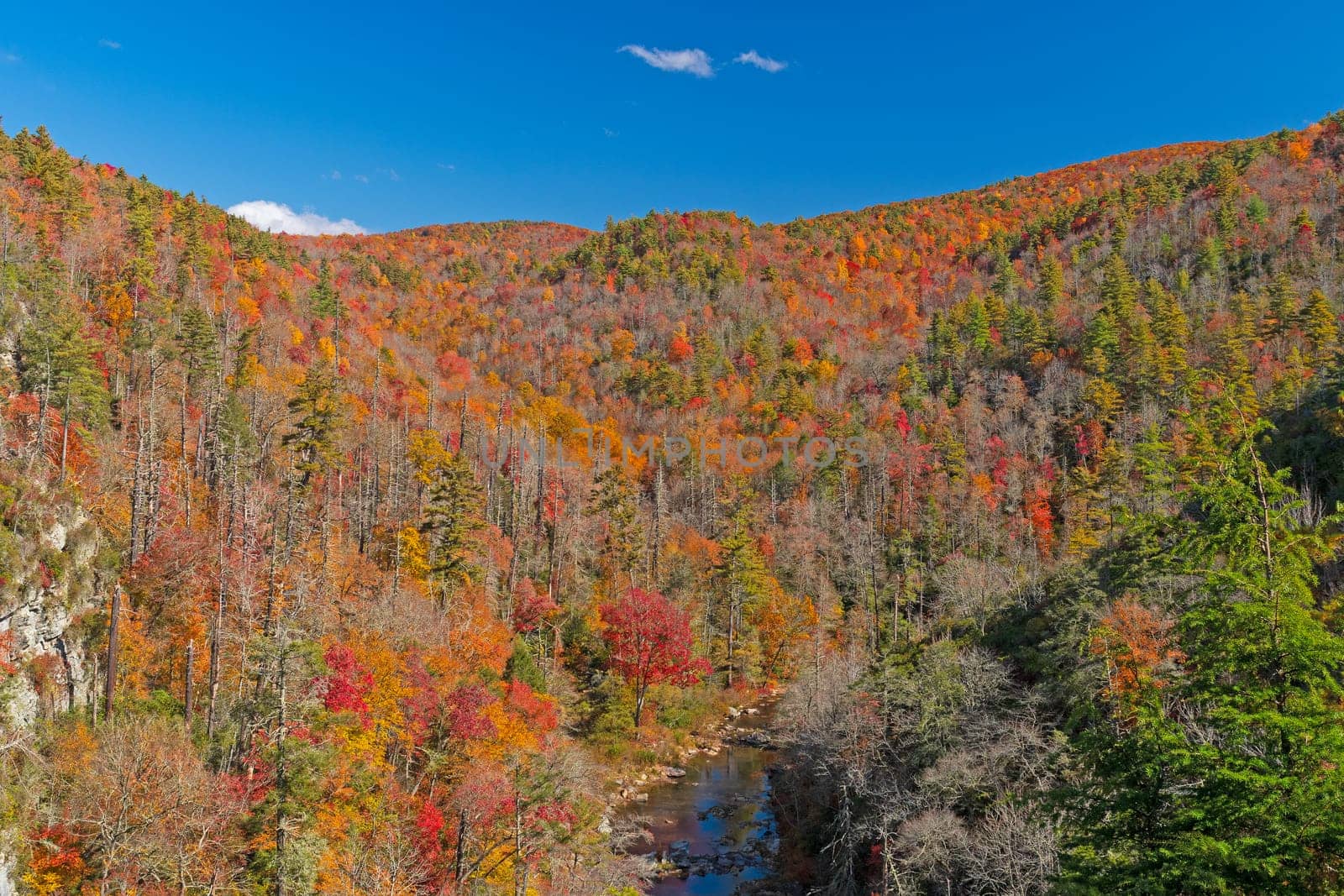 Autumn Colors in a River Valley in the Linville Gorge in North Carolina