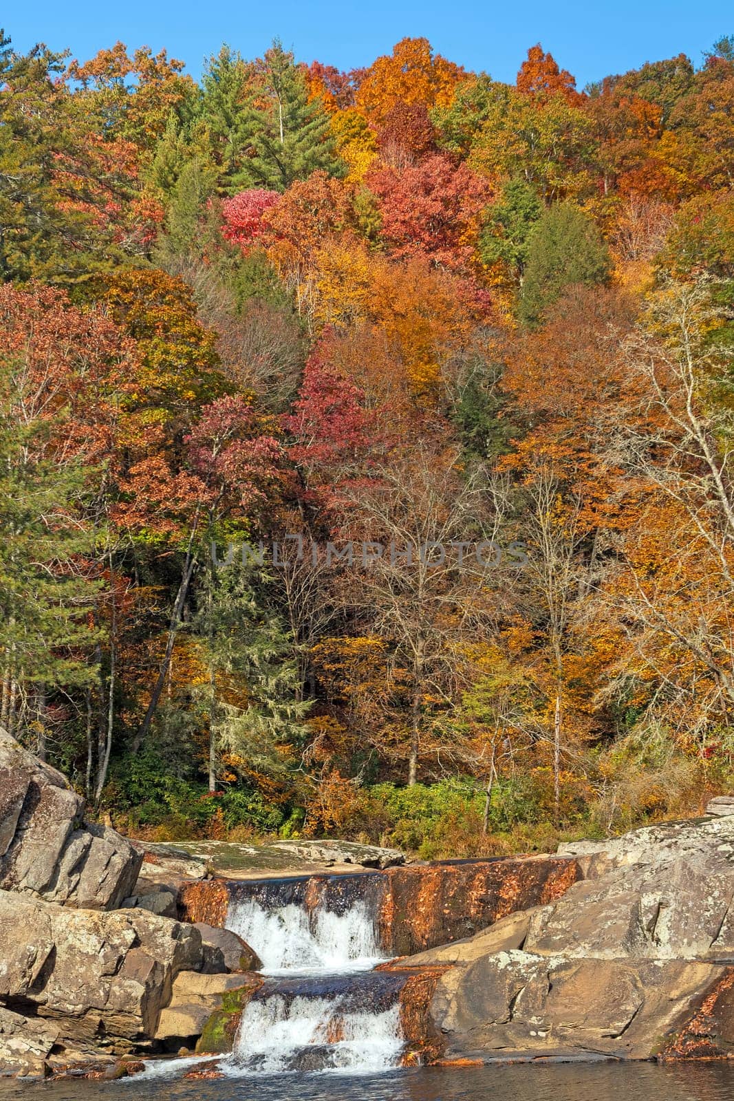 Stream and Waterfall Coming Out of the Fall Forest and Linville Gorge in North Carolina