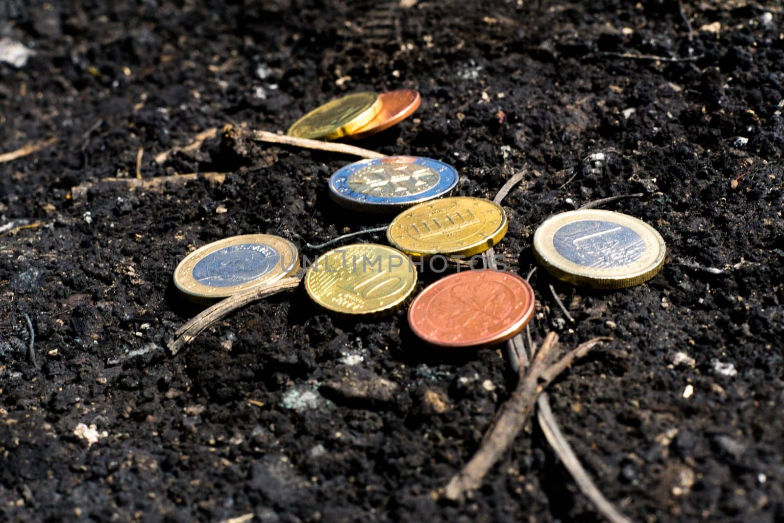 Conceptual image of popular euro currencies on a garden soil
