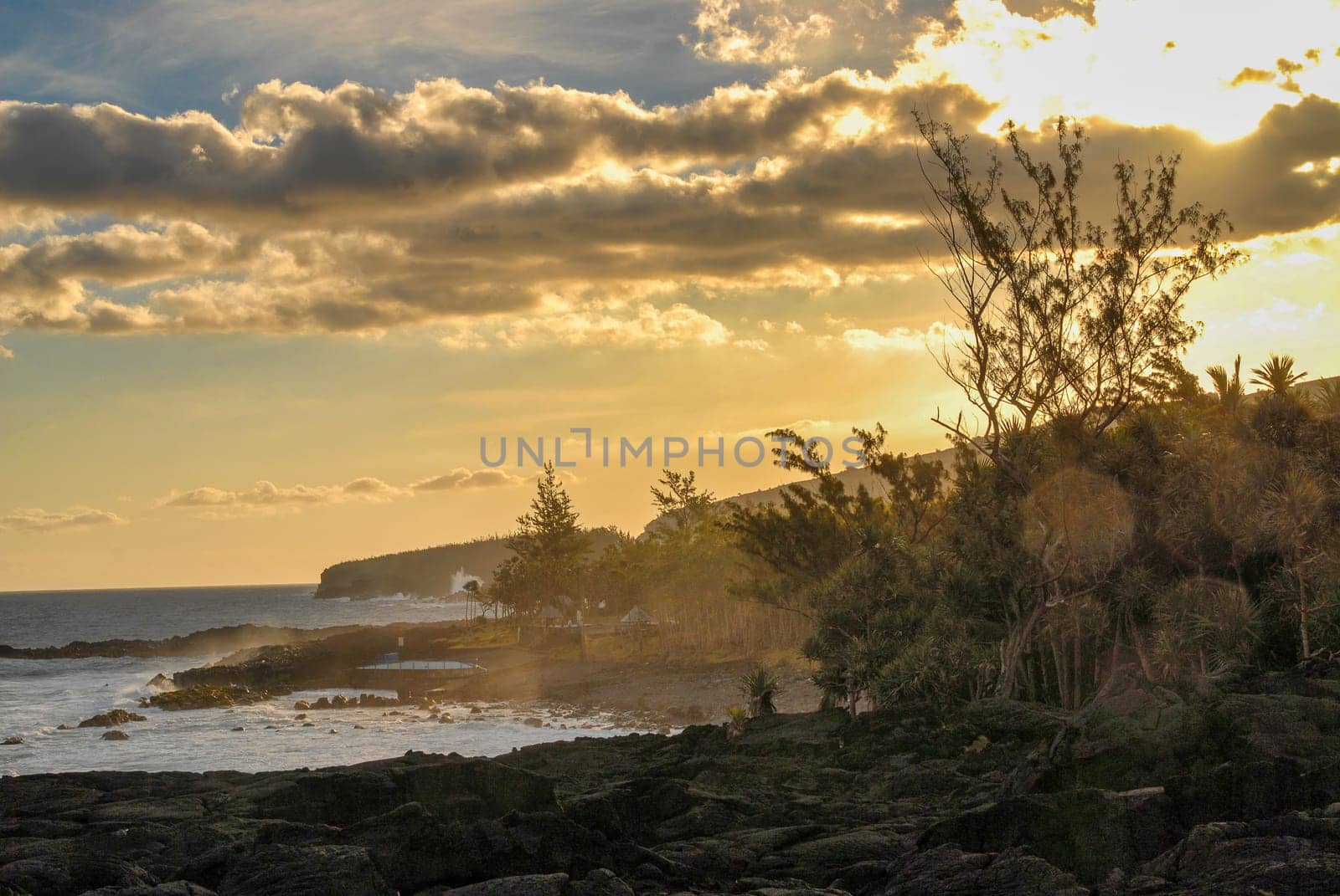 A beautiful sunset over the ocean with a tree in the foreground. The sky is filled with clouds and the sun is setting