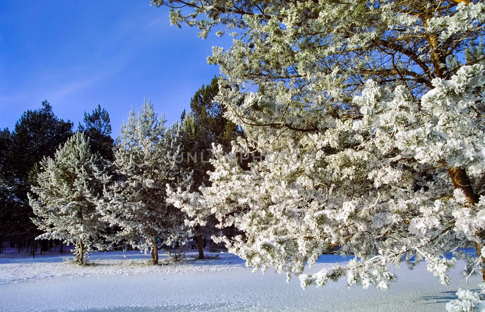 Winter on the Baikal, ice and snow on the lake. The beauty of the nature of Baikal in winter.