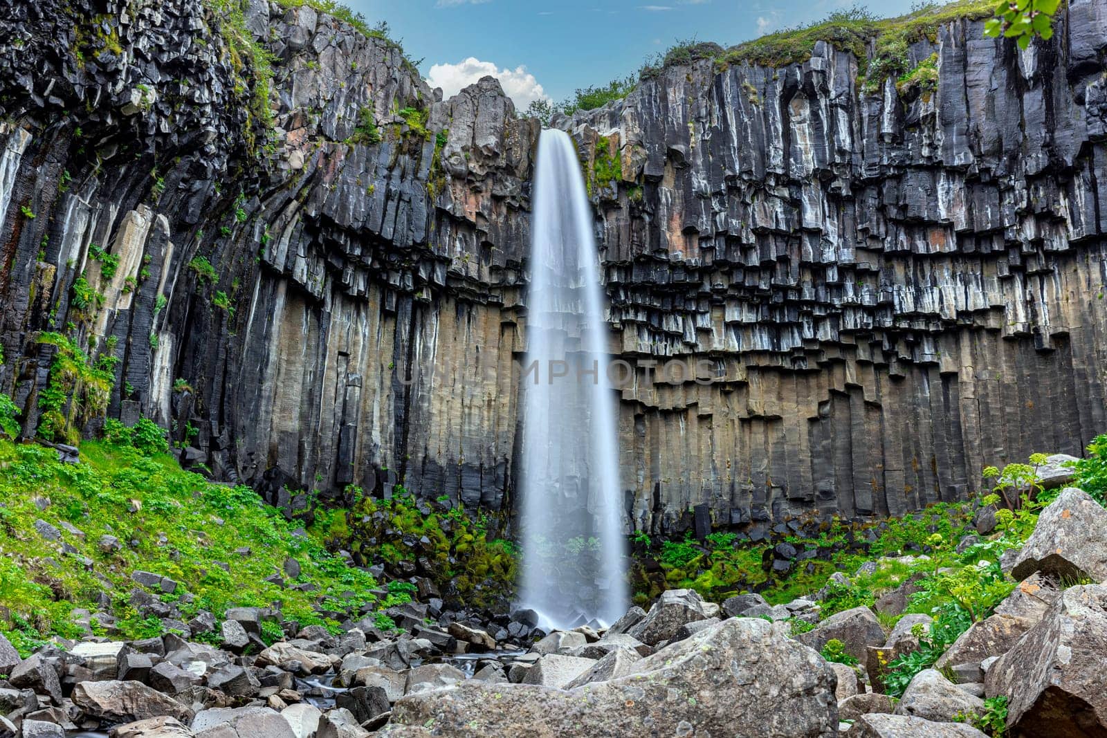 Svartifoss waterfall  cliff face,  rock basalt columnar iceland