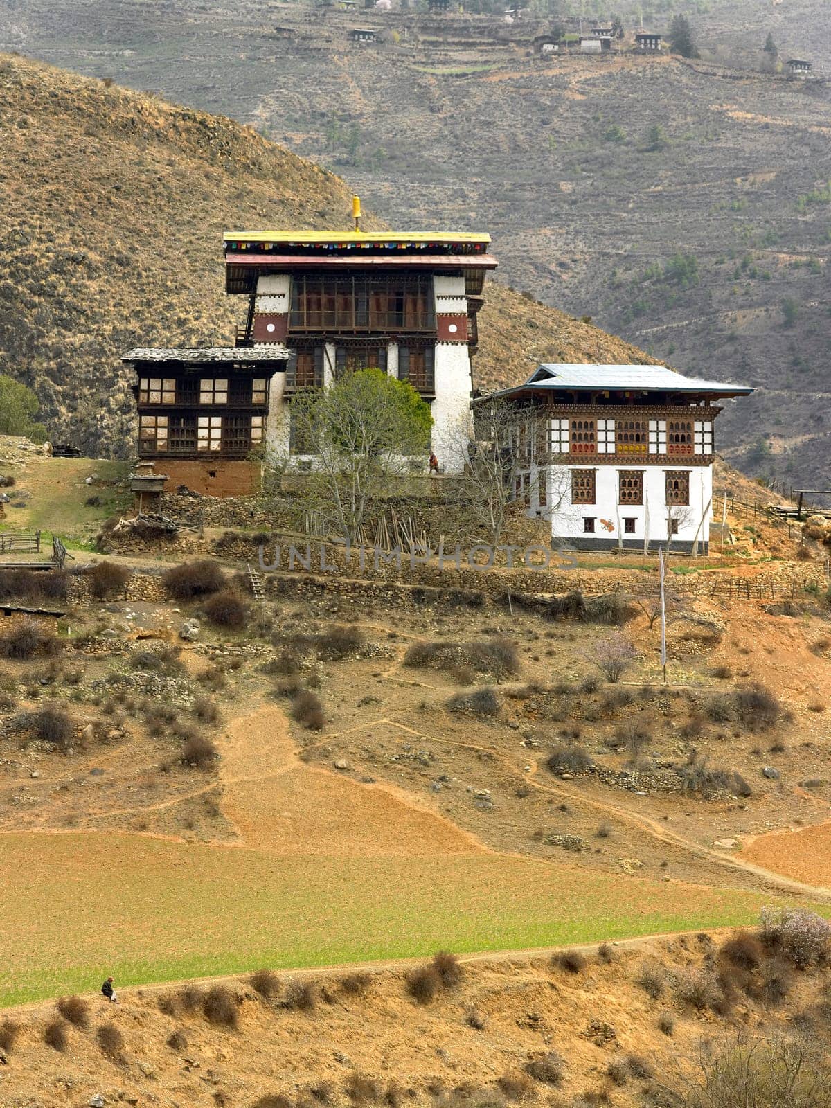 Bhutanese buildings near Thimpu in the Kingdom of Bhutan.