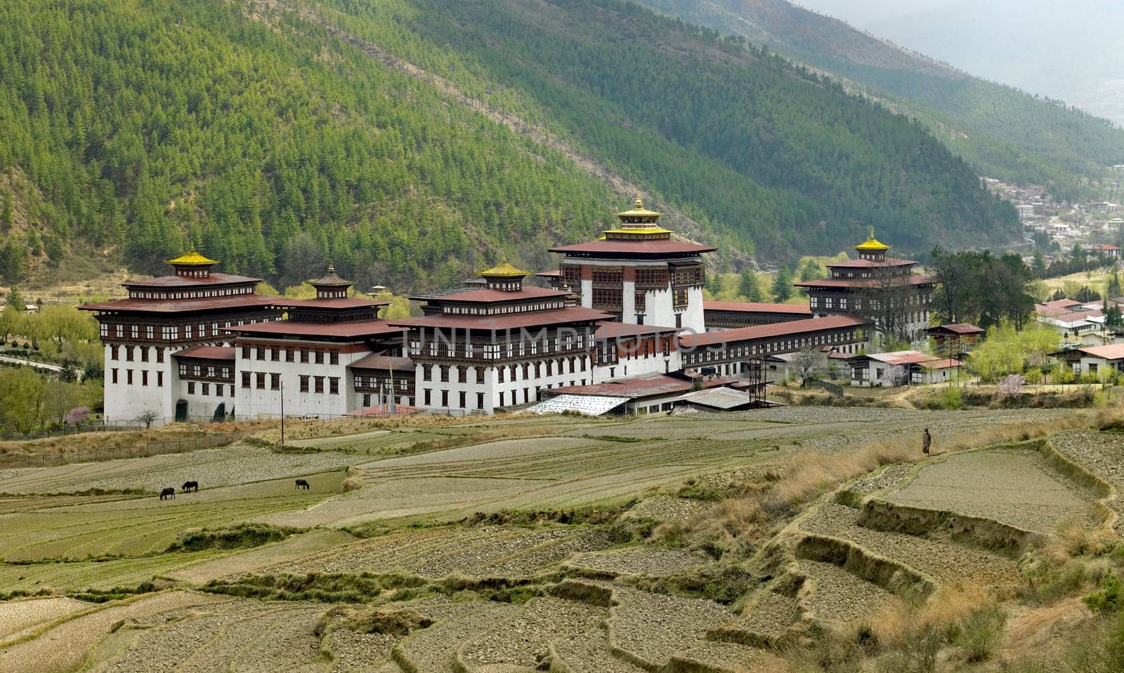 Tashichho Dzong, a Buddhist monastery and fortress on the northern edge of the city of Thimphu in the Kingdom of Bhutan. There are thirty temples, chapels and shrines within Tashichho-Dzong.