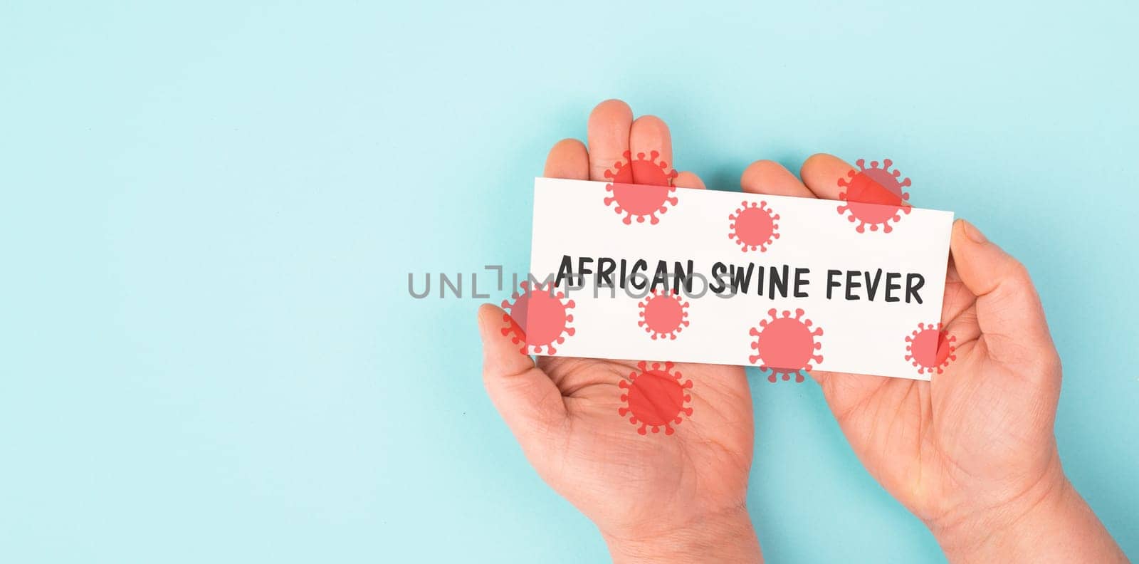 African swine fever, ASFV virus outbreak, infected wild boar and pig, infectious disease spreading to forest animals