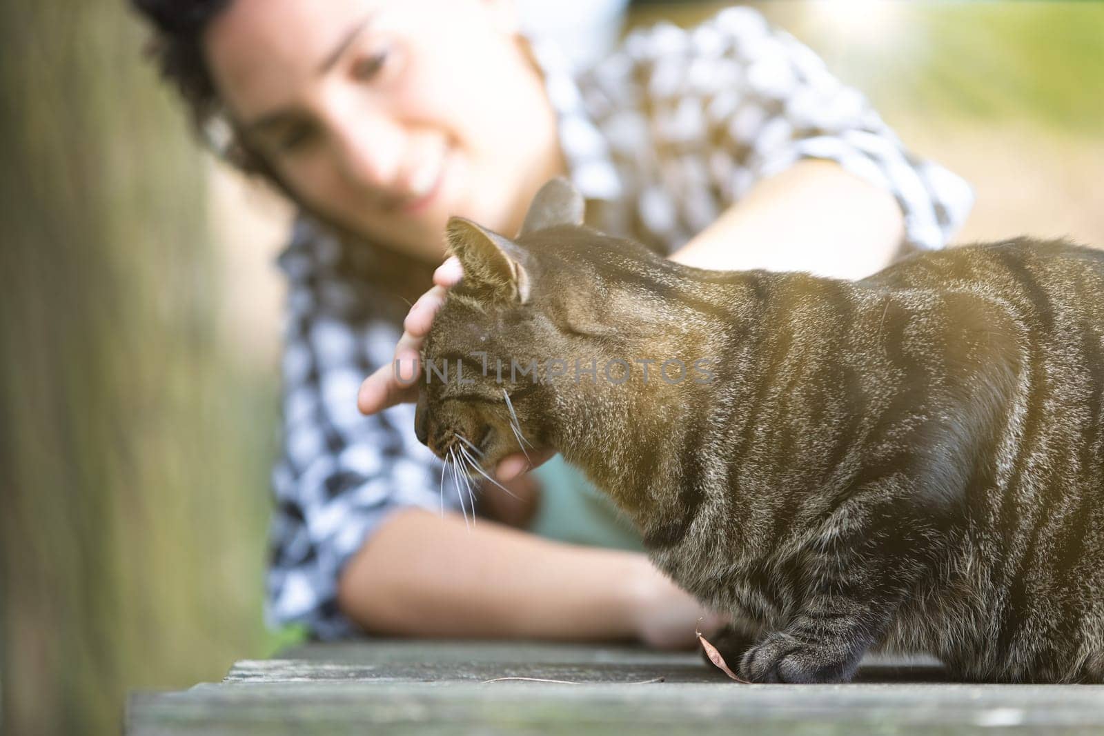 cheerful young woman with curly hair and a checkered shirt leans forward to pet a tabby cat. Her smile and the cat's blurred outline create a lively, engaging scene