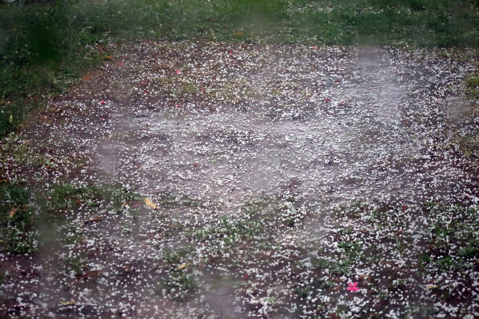 Witnesses of a storm front: fingernail-sized hailstones lie on the campsite of Manerba del Garada on Lake Garda  Travel Photography - Lake Garda / Lago di Garda / Italy /Italy / Italia