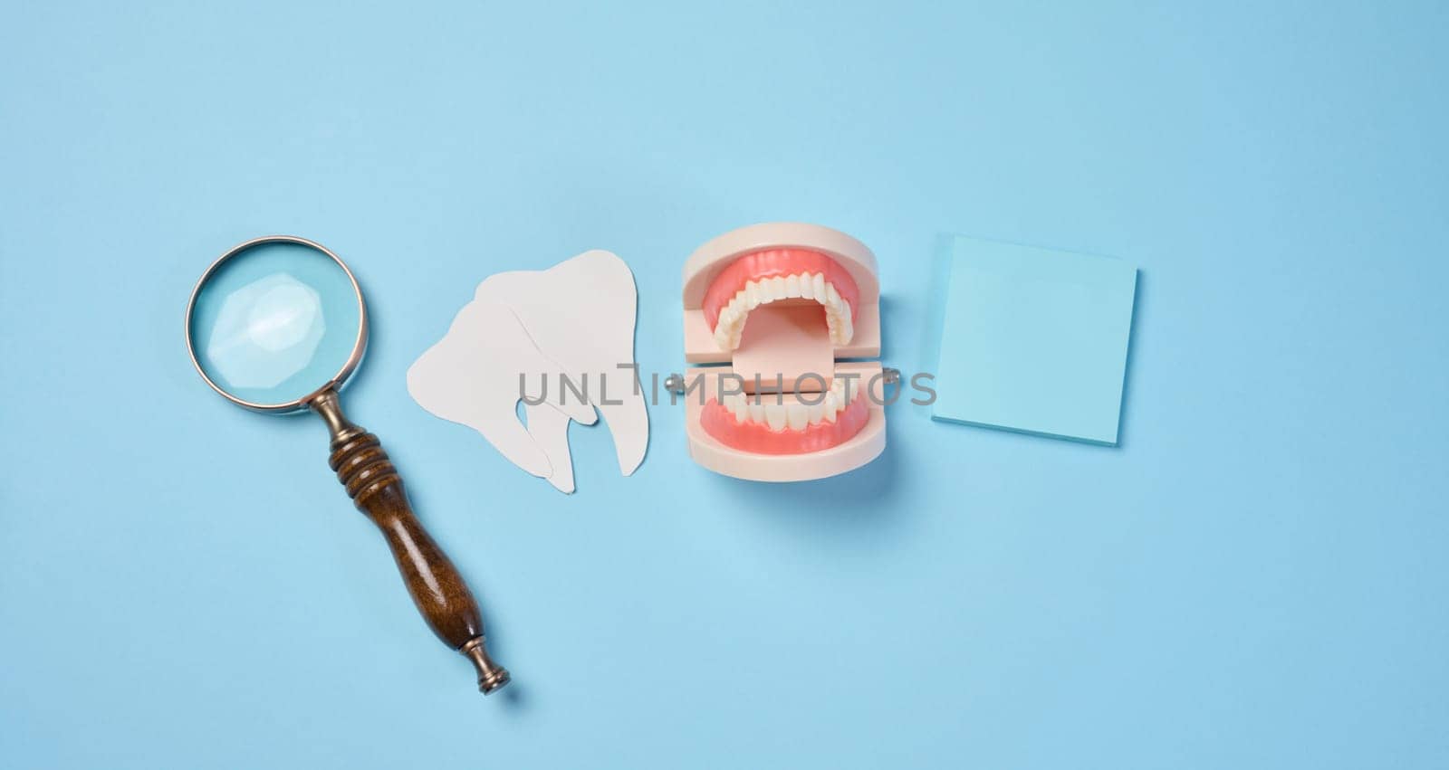 Plastic human jaw with white teeth, magnifying glass, oral cavity prevention, top view