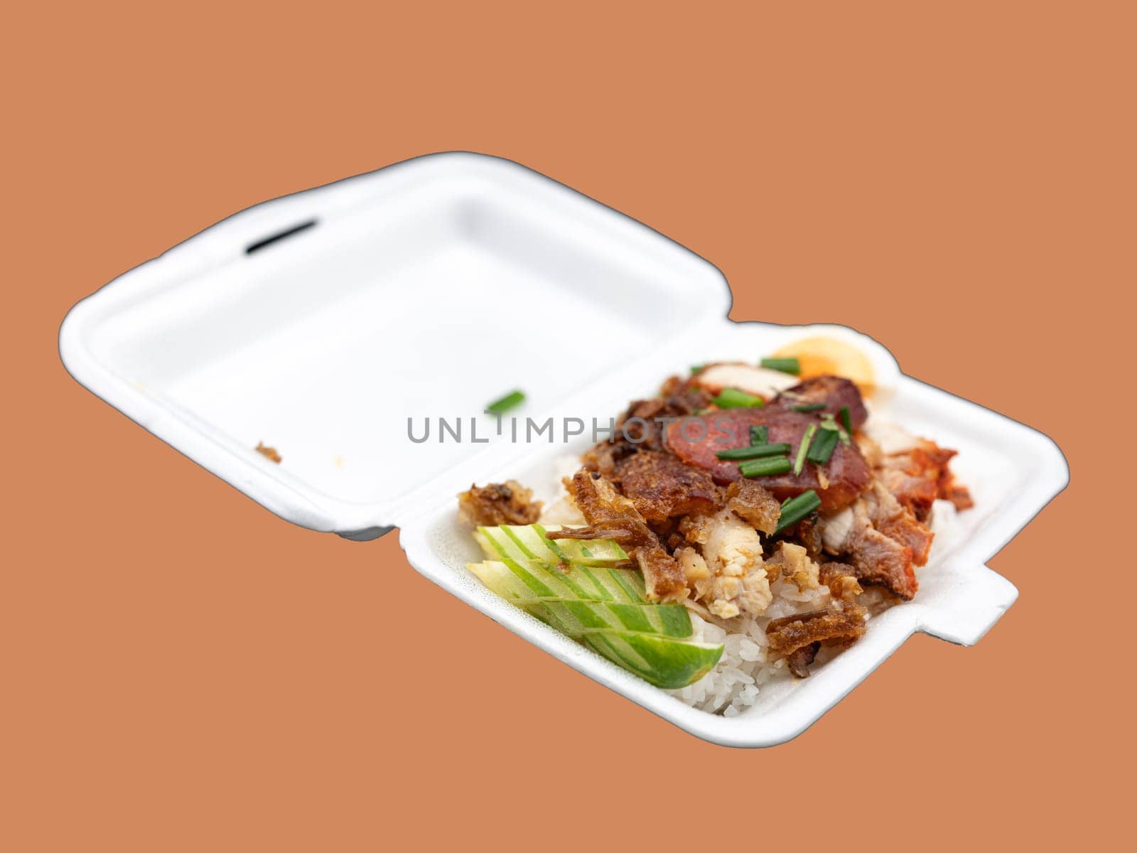 Rice with crispy and barbecued pork with rice in package for deliverly