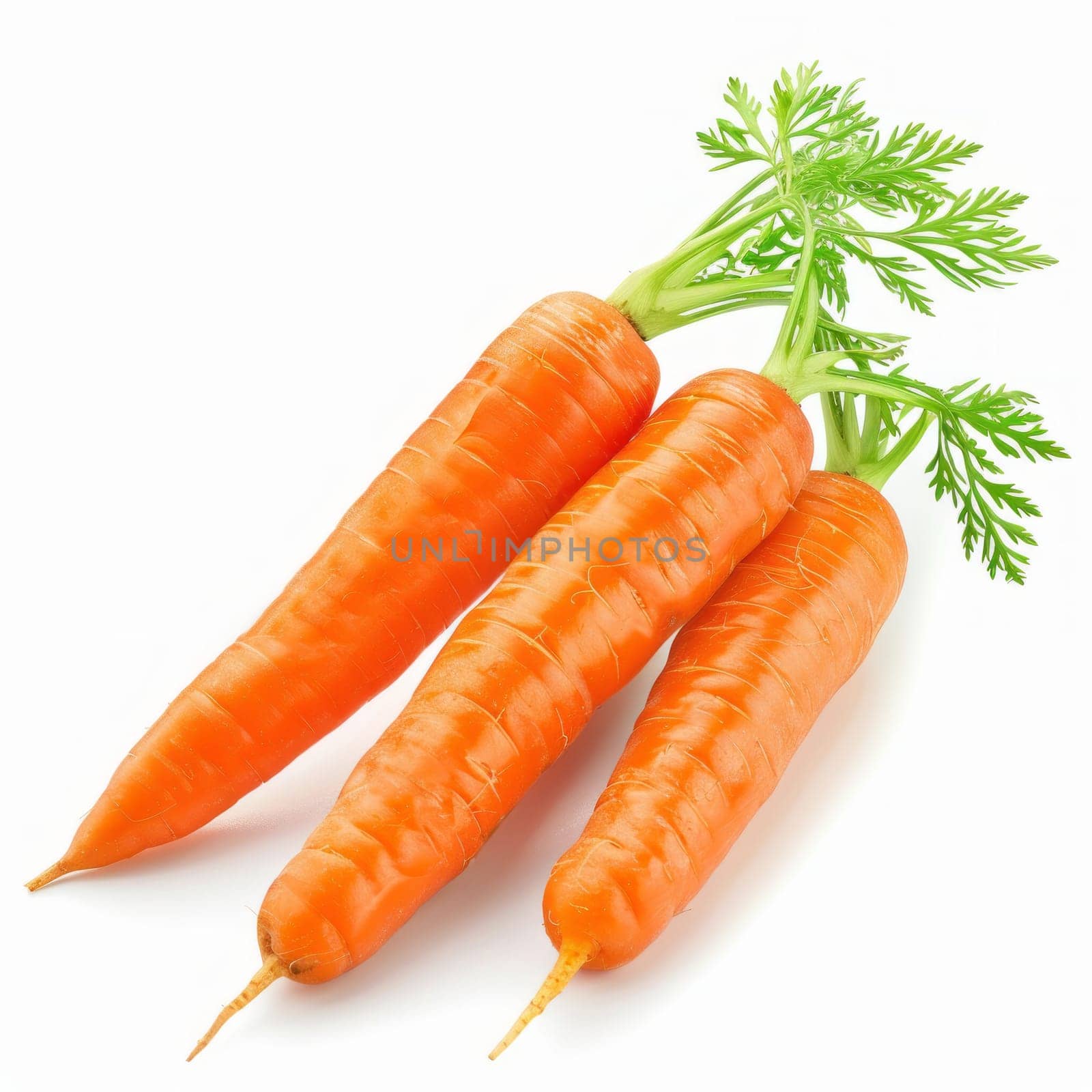 Bunch of fresh, vibrant orange carrots with green tops, isolated on a white background