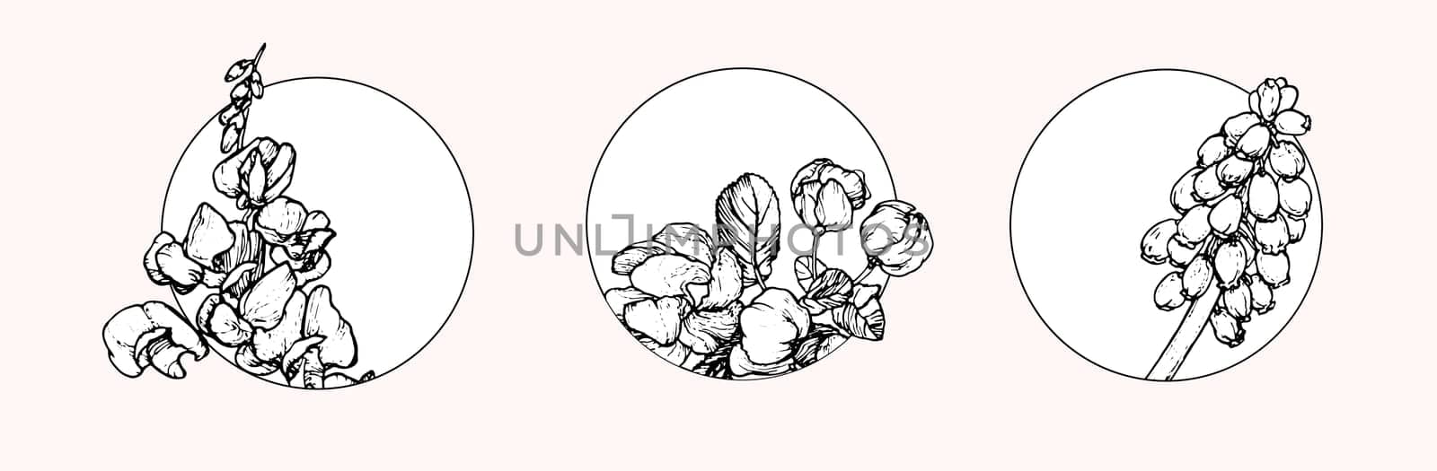 Spring flowers drawing with line-art on white