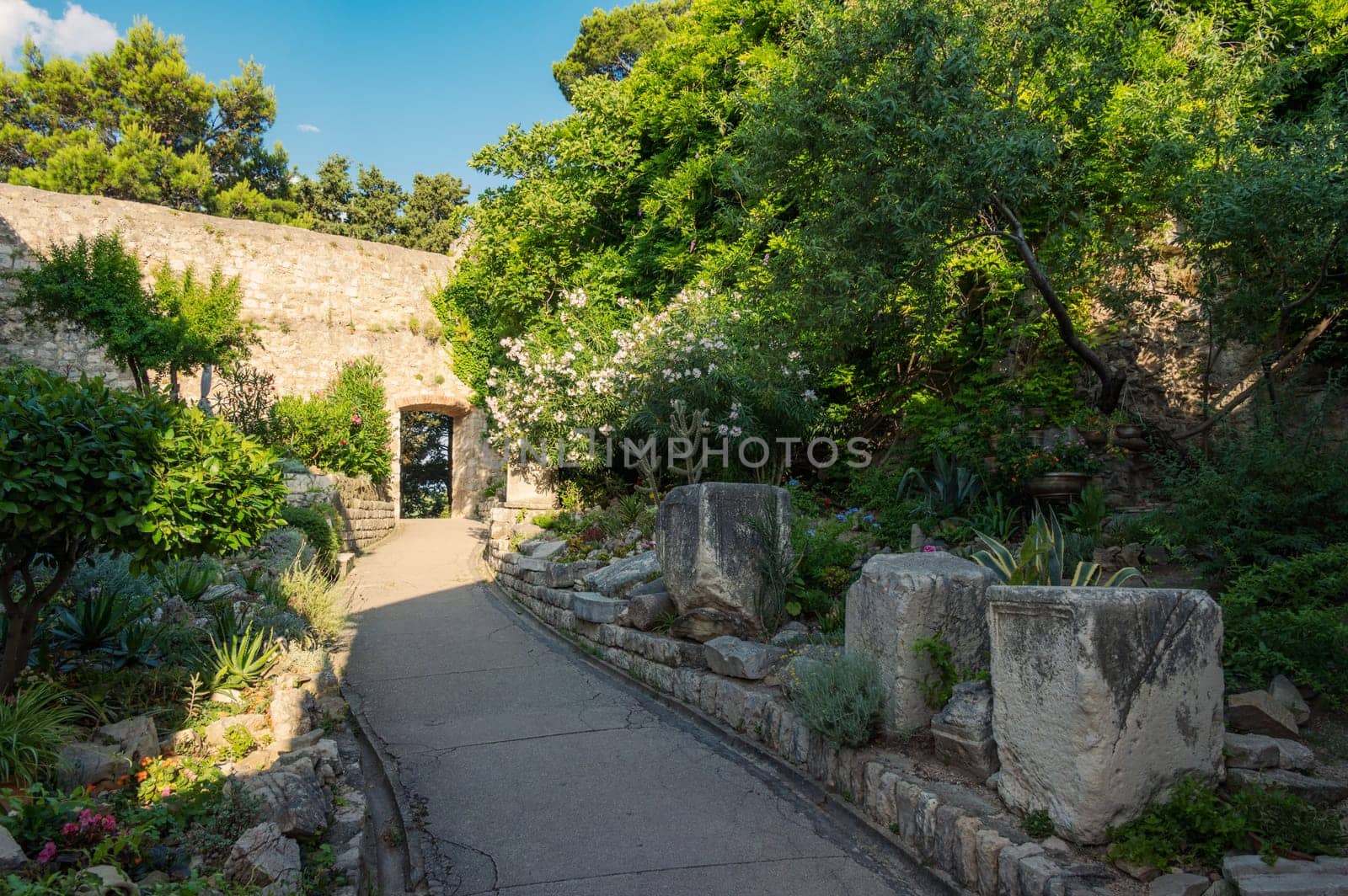 Small garden at Komrcar park in Rab town on Rab island in Croatia