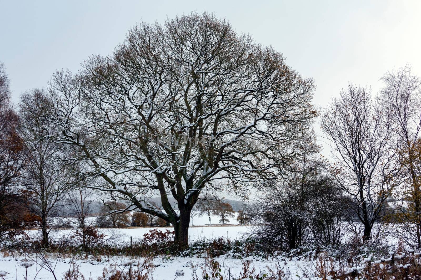 Winter landscape in the countryside of North Yorkshire in the United Kingdom.