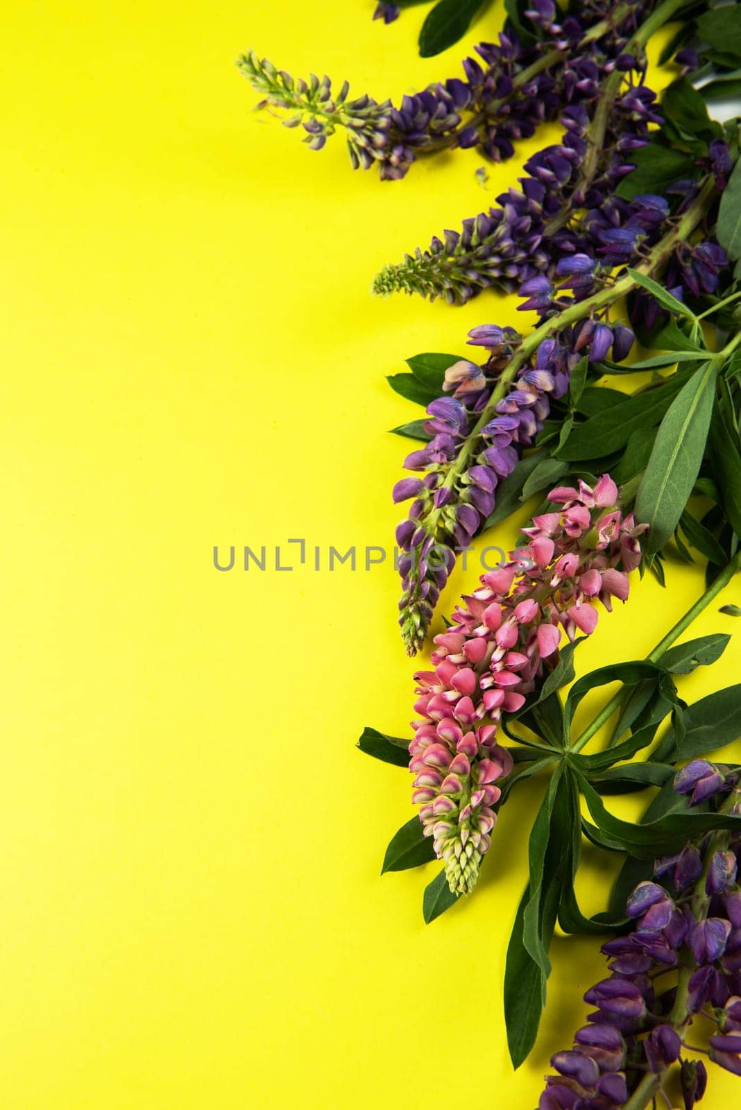 Yellow paper mockup for text with decor made of flower lupine