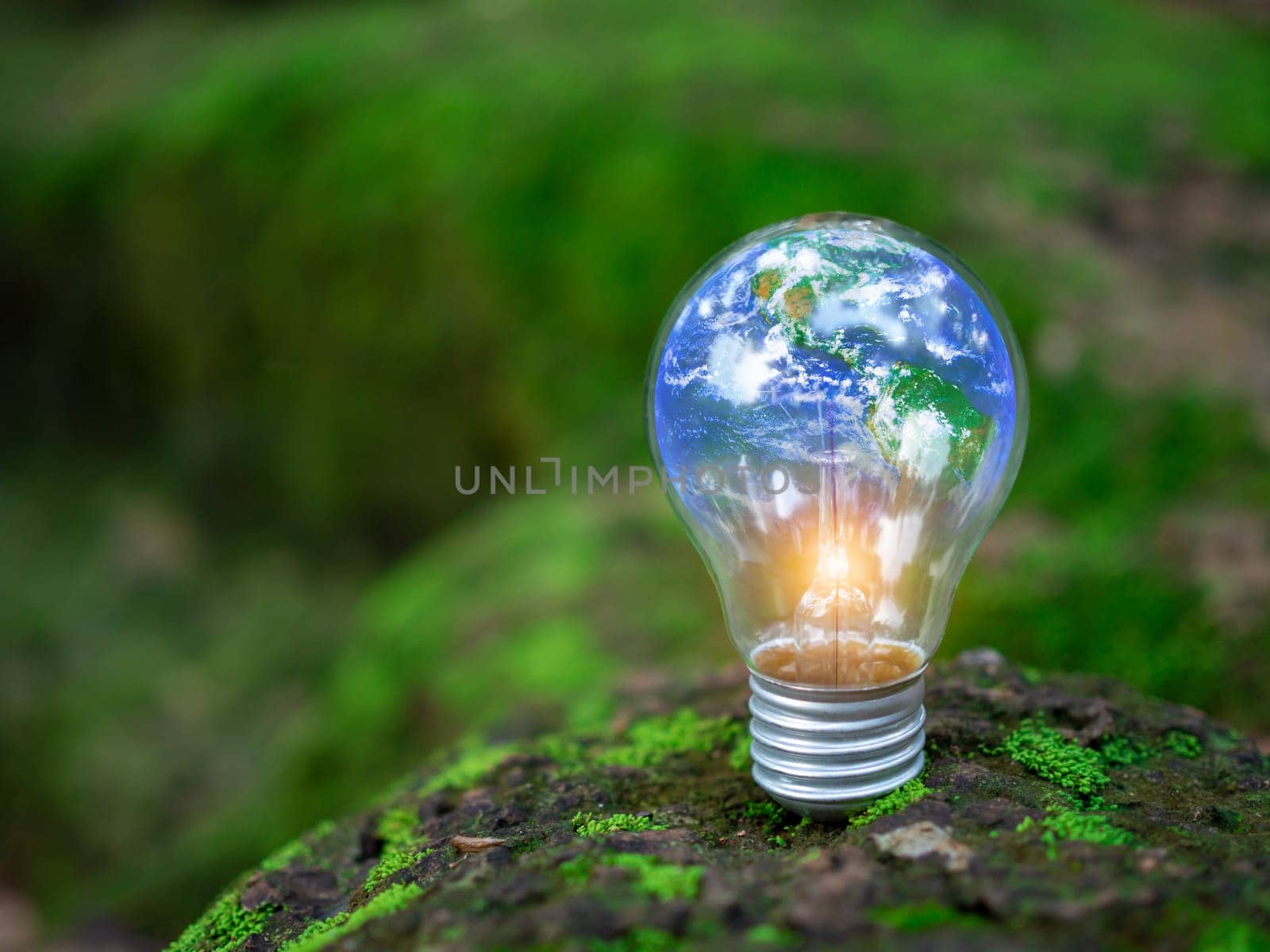 Light bulbs placed on the ground on a green natural background, Concepts of renewable energy innovation and a green world, Sustainable clean energy sources, Environmental protection.