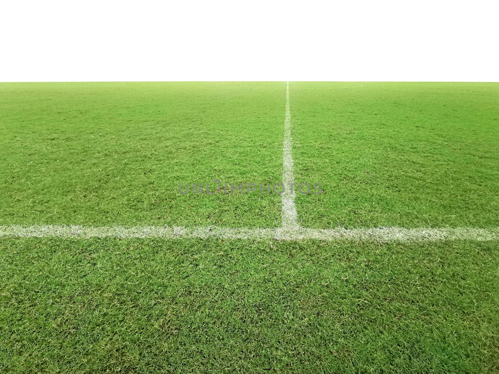 Soccer line in green grass of soccer field