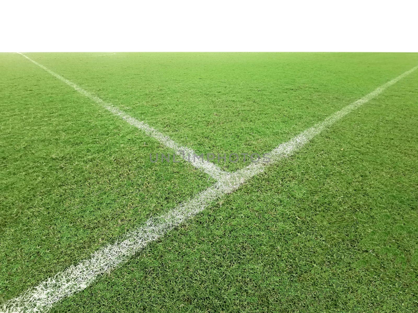 Soccer line in green grass of soccer field