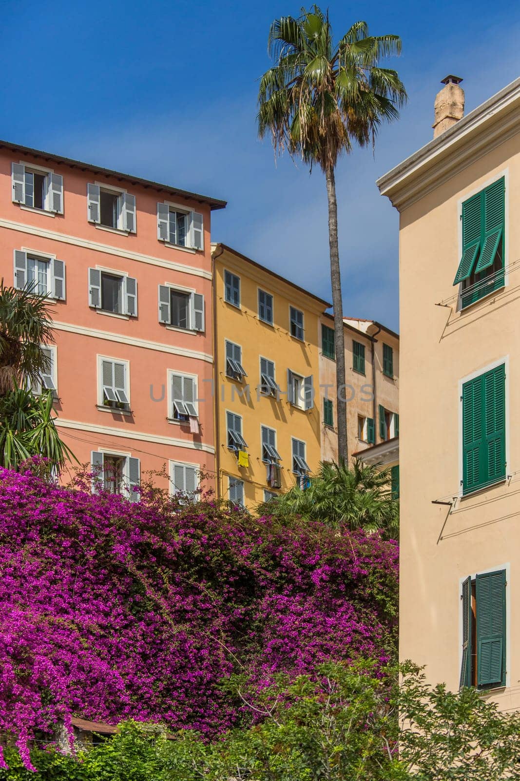 The town of Ventimigla in the province of Imperia on the northwest coast of Italy, 7km from the French-Italian border. The Roia River flows through the town into the sea.