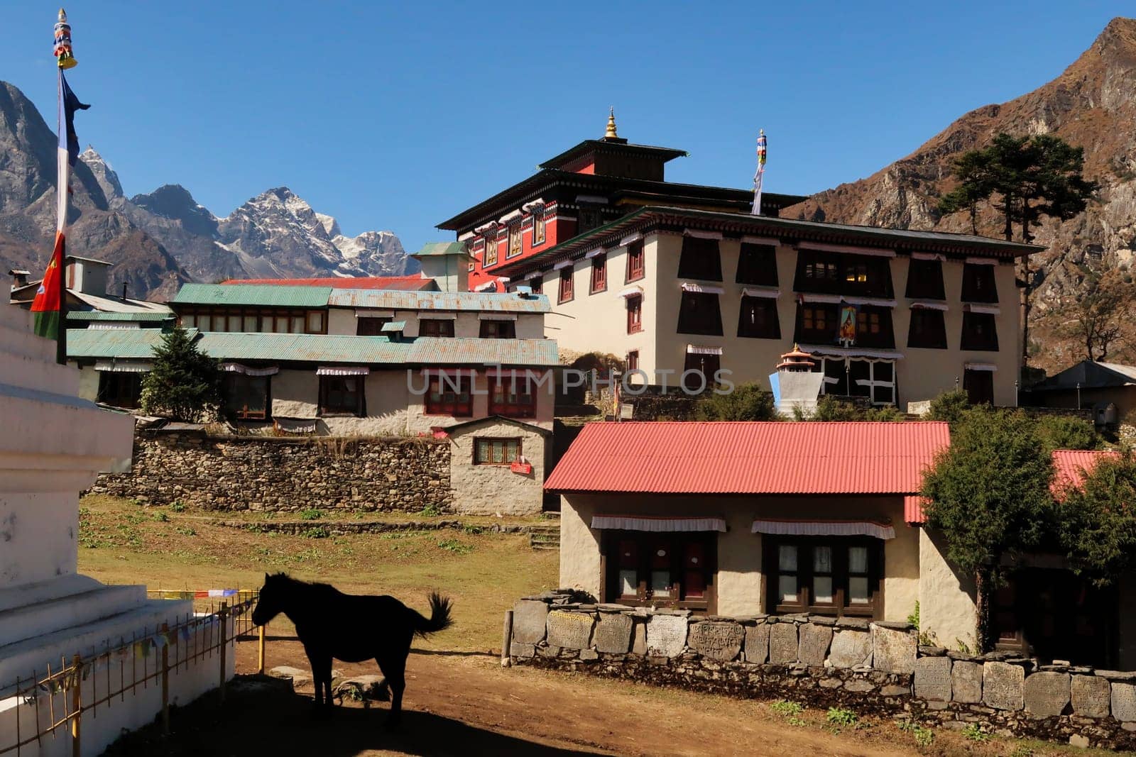 The tibetan buddhist monastery in Tengboche, Tangboche village, the silhouette of a resting horse next to a stupa can be seen in the foreground, Mount Everest Base Camp Trek, EBC, Nepal 2022