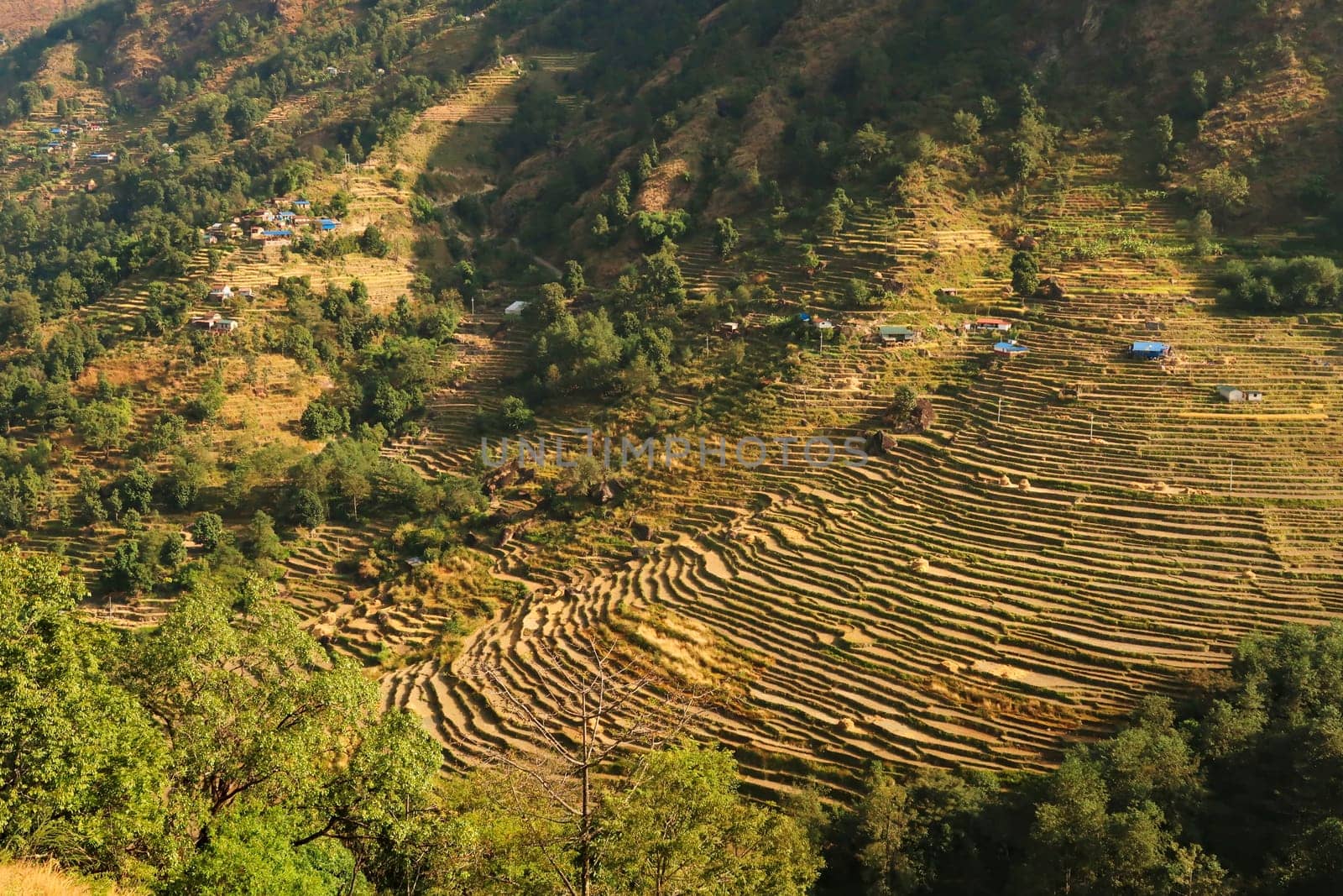 View onto rice terraces, fields, paddies on a hill close to Bahundanda village, Annapurna Circuit Trek, Nepal 2022