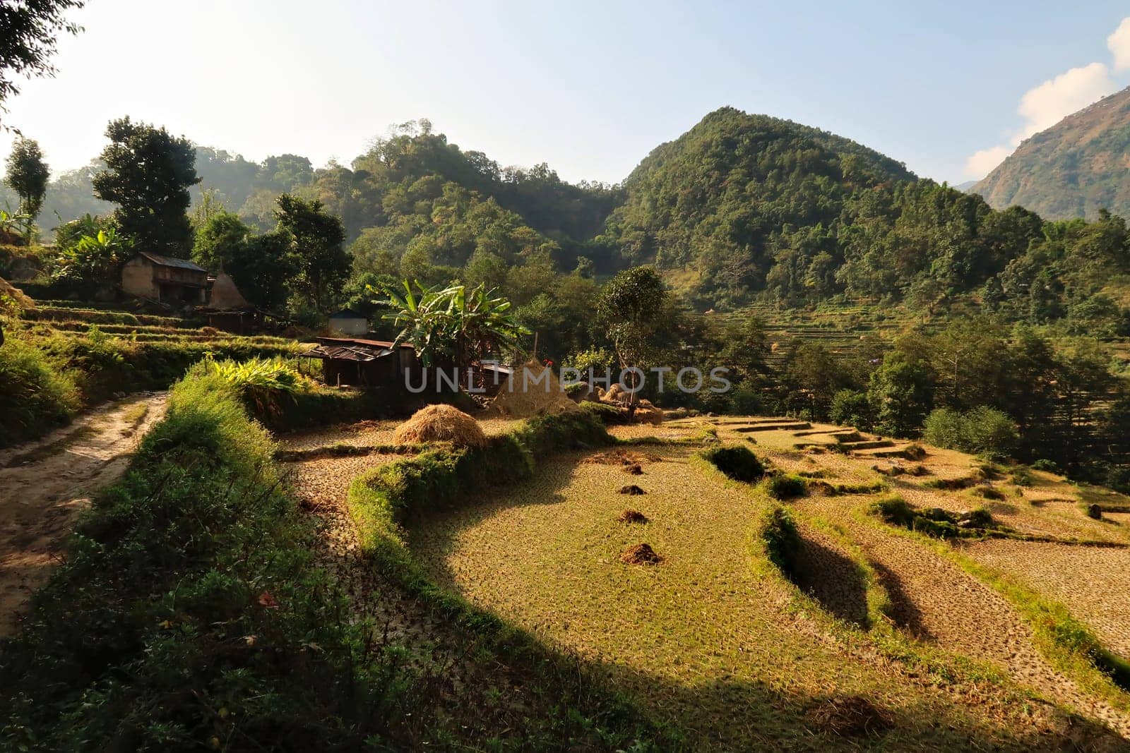 Walking throught the farmland, rice terraces, fields, paddies outside of Bahundanda village, Annapurna Circuit Trek, Nepal 2022