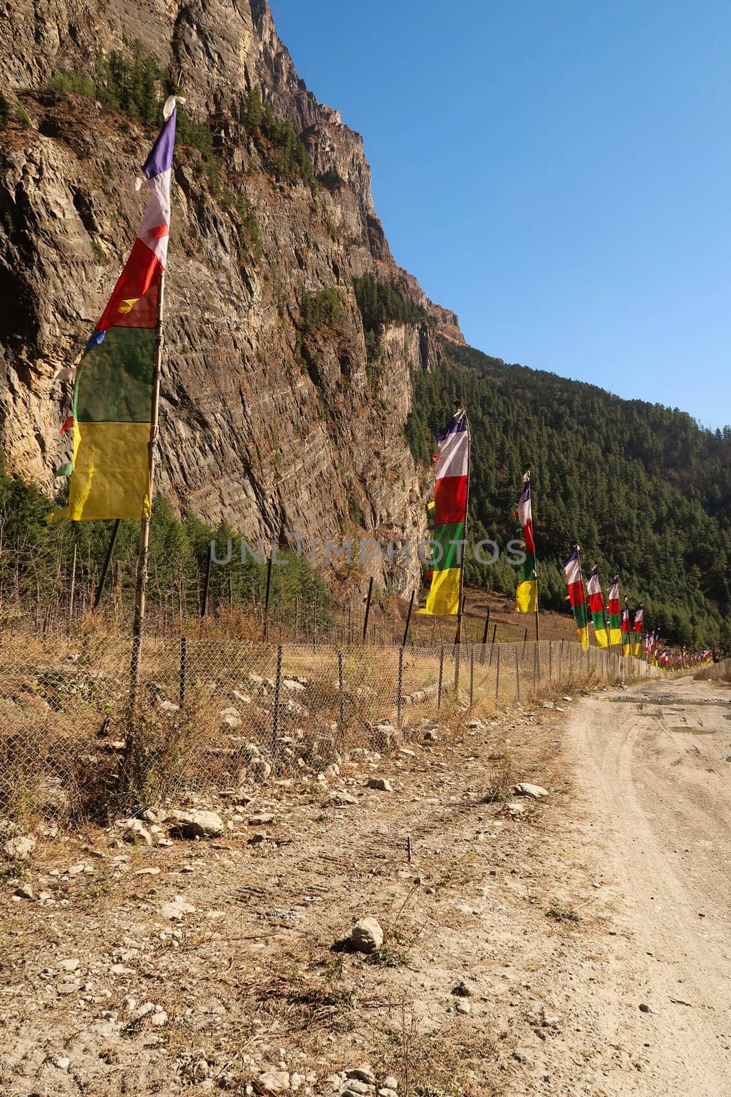 Many colorful flags, prayer flags on poles, flagpoles lined up along the road, trail outside of Bhratang, Bratang village, Annapurna Circuit Trek, Nepal