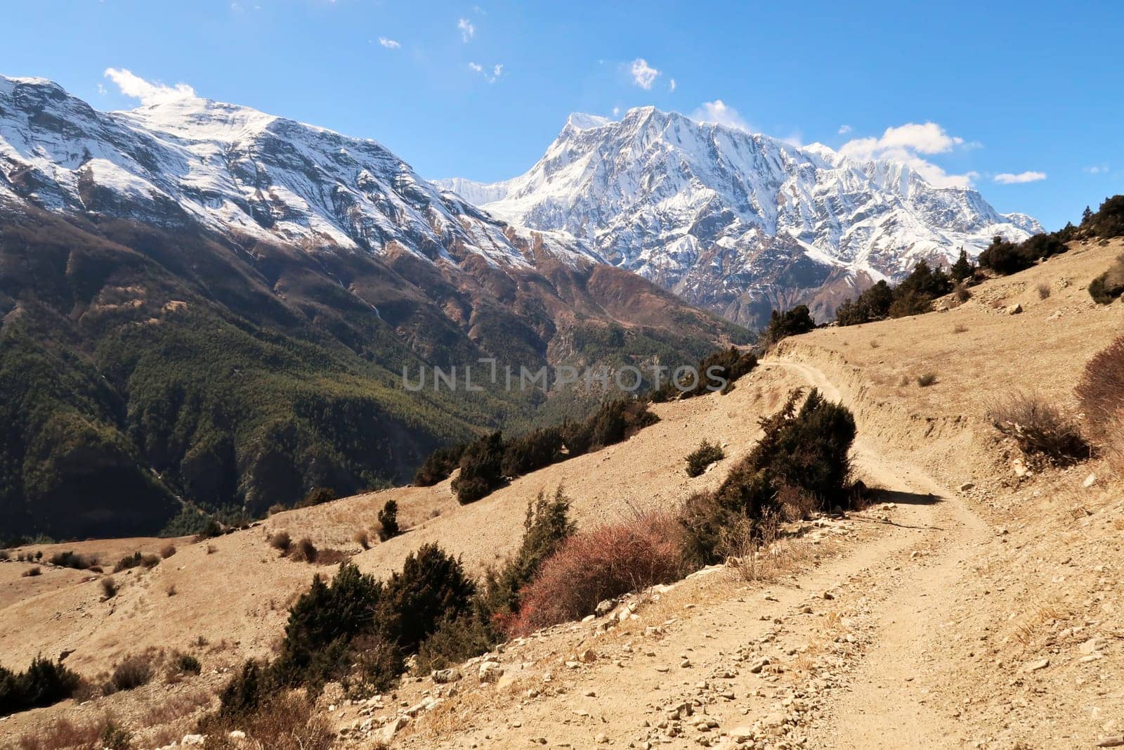 On the trail from Upper Pisang, Ghyaru village to Manang, the majestic snow capped peak of Annapurna III is rising in the background, Annapurna Circuit Trek, Nepal 2022