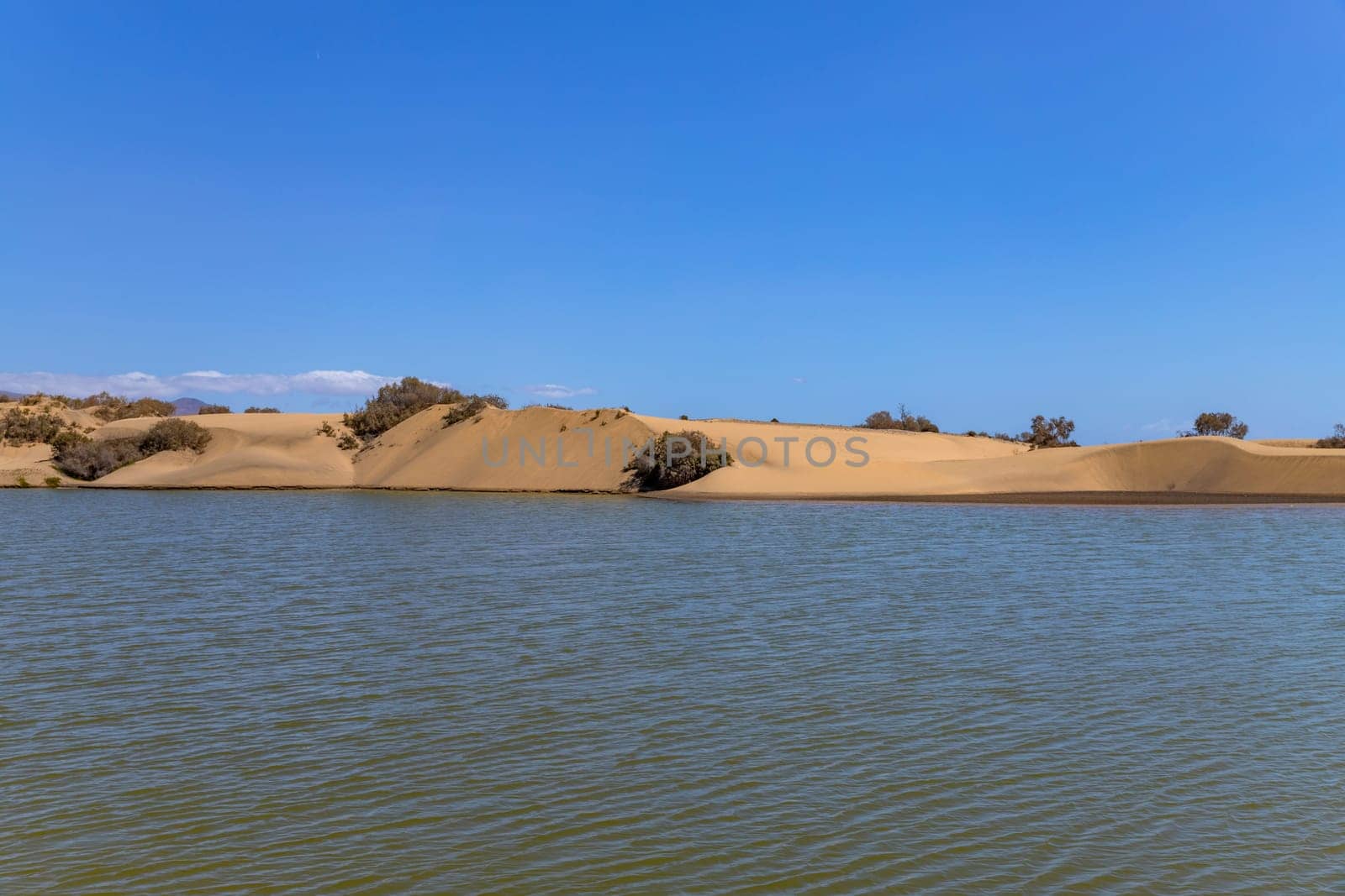Maspalomas sand dunes, Gran Canaria, Canary islands, Spain