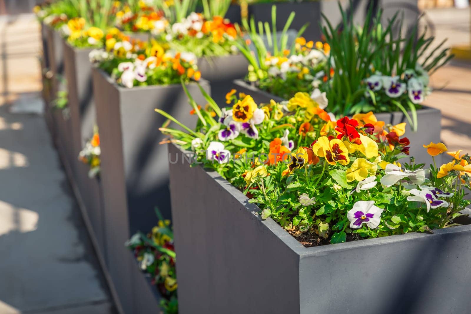 Modern raised beds and high flower pots in a flower shop