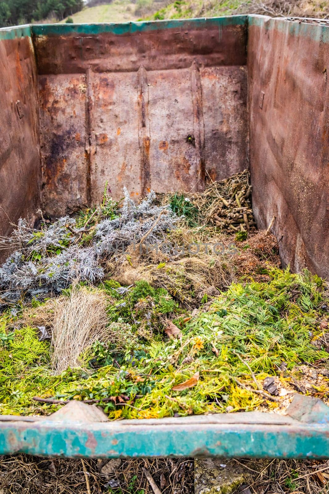 Large container with green waste in public park, recycling or plants, composting