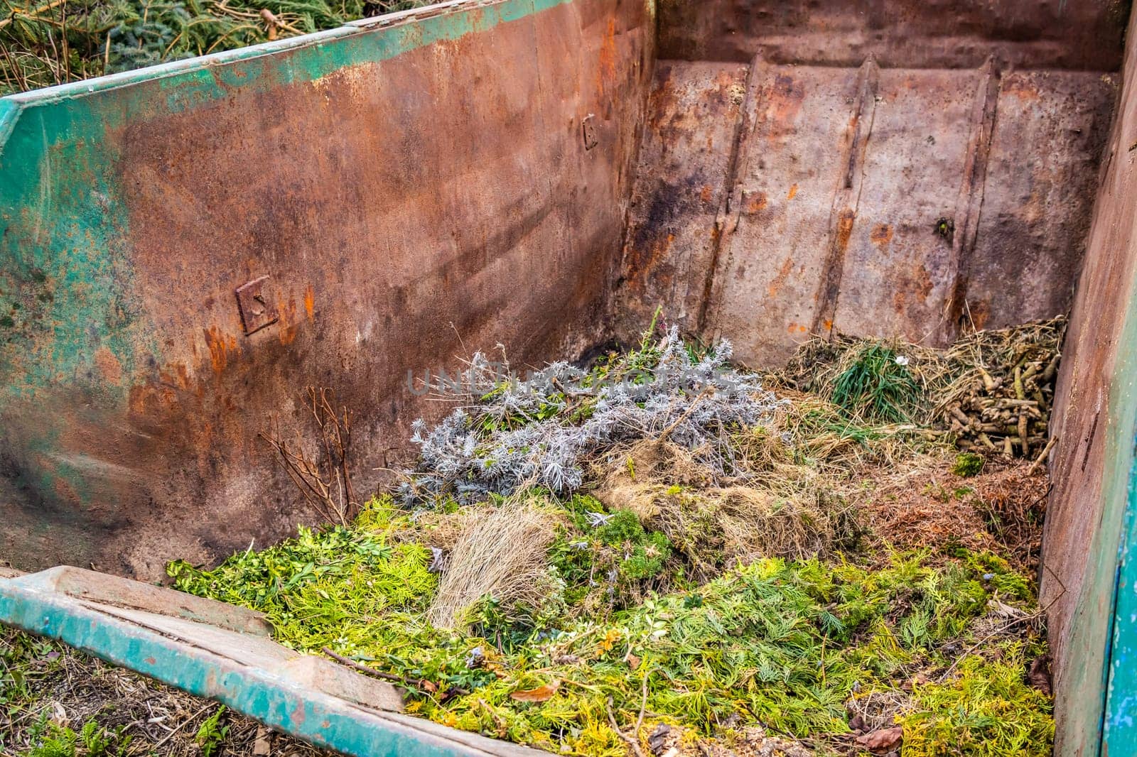 Large container with green waste in public park, recycling or plants, composting