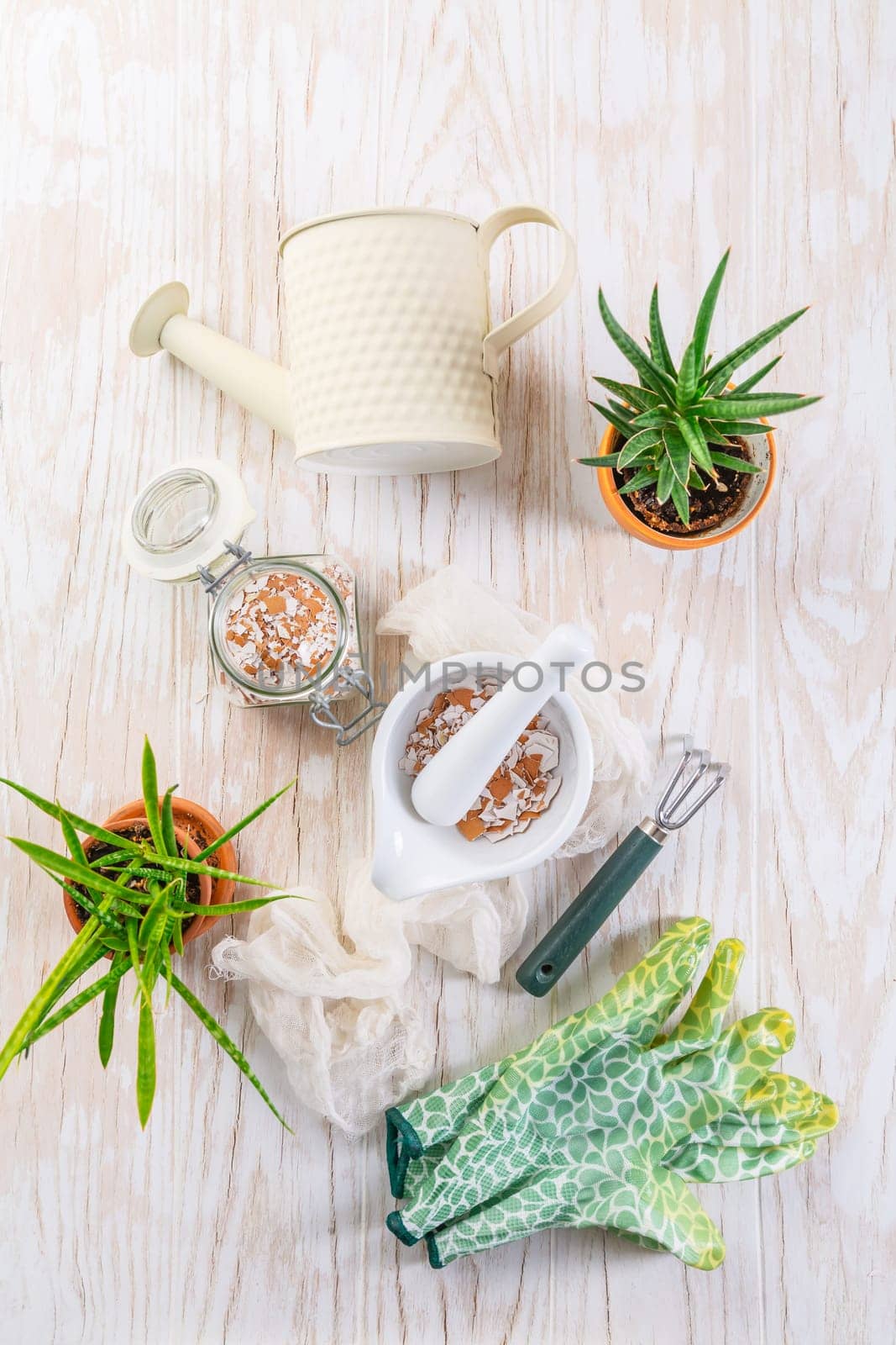 Preparing  crushed eggshells for  vegetable bed, eggshells stored for making natural fertilizers for growing vegetables, sustainability concept