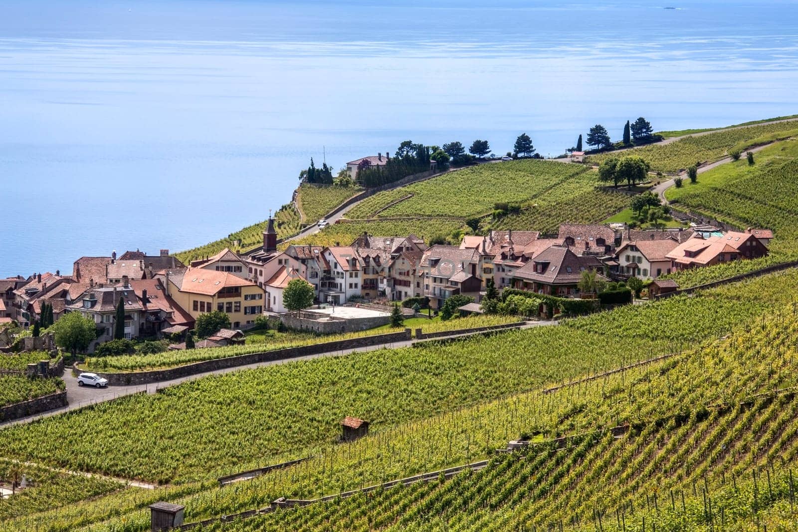 Vineyards and the village of St Saphorin in the north shore of Lake Geneva in the La Cote wine producing area of the Vaud canton of Switzerland.