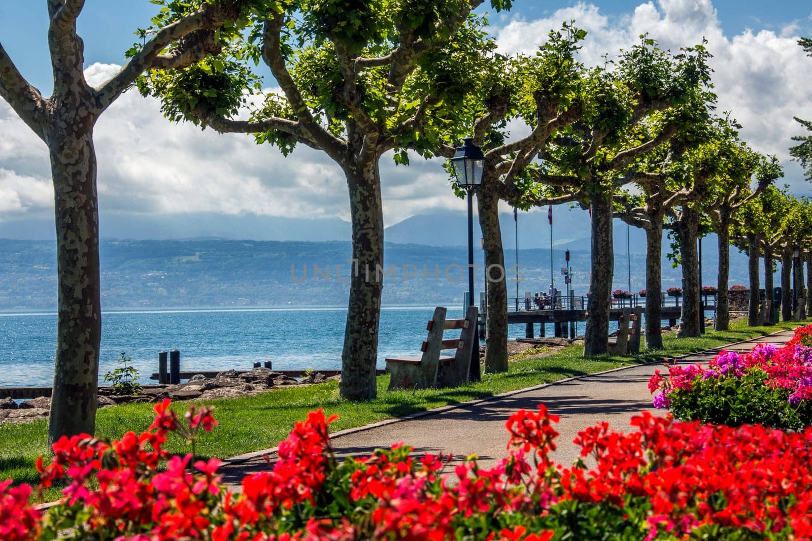 Lake Geneva (Lac Leman) at St Prex in the Vaud canton of Switzerland.