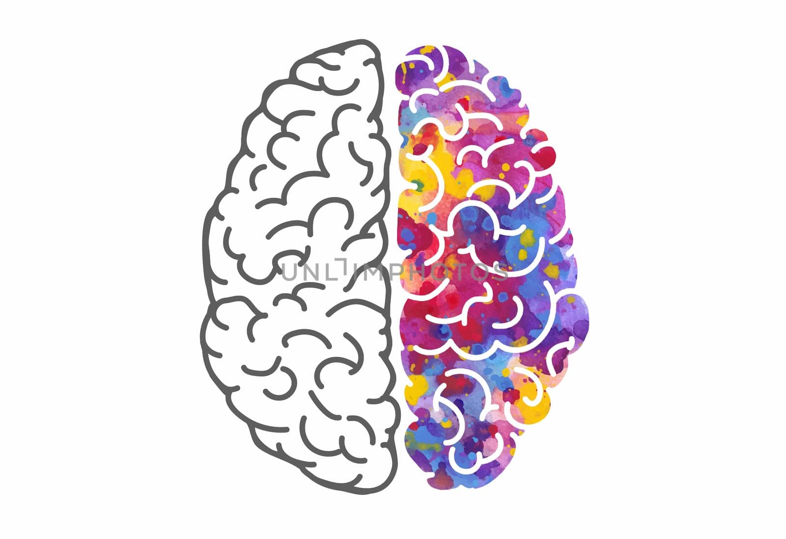 Watercolor brain, left and right hemispheres. Vector